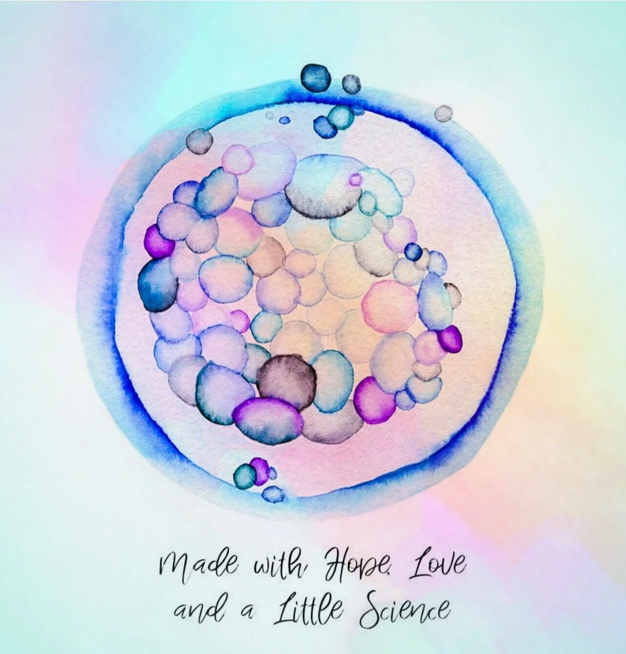 Blog 6 of 6: Snowflakes!