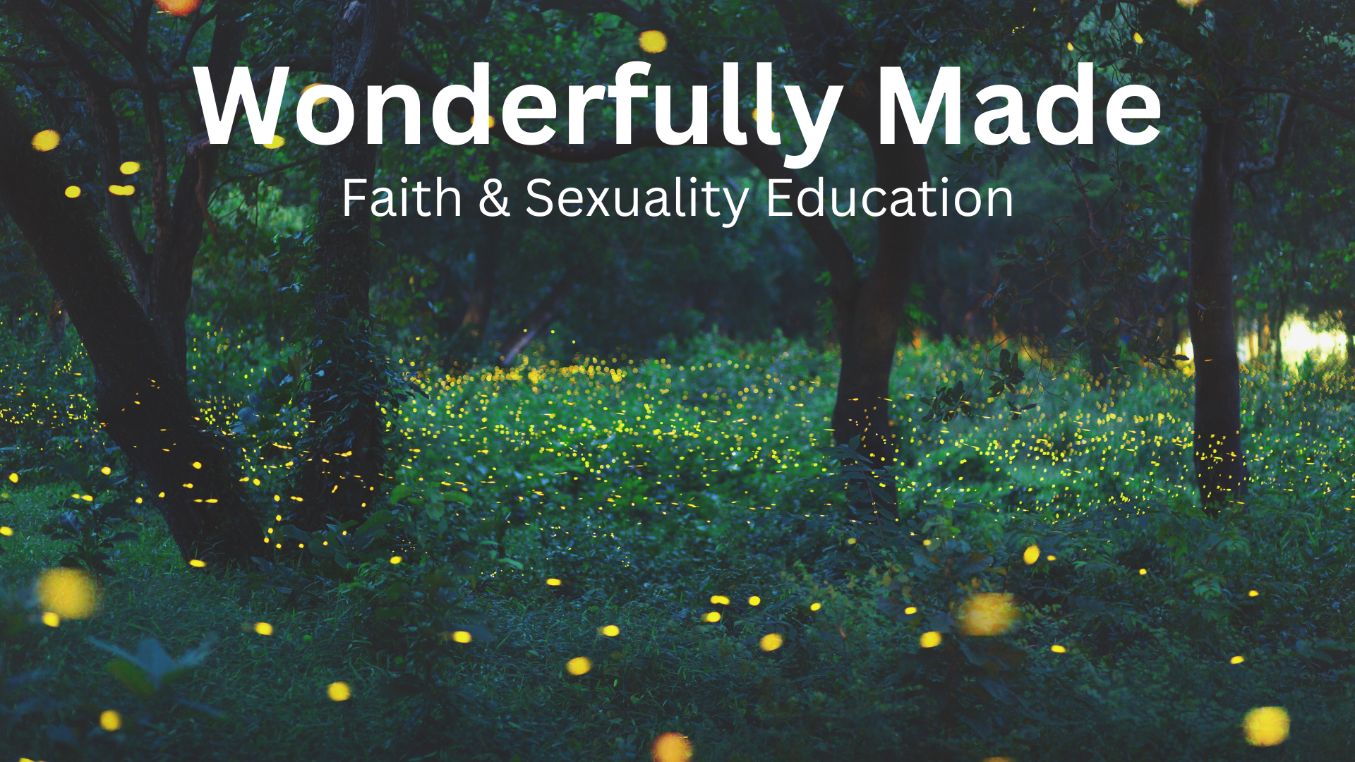 Wonderfully Made