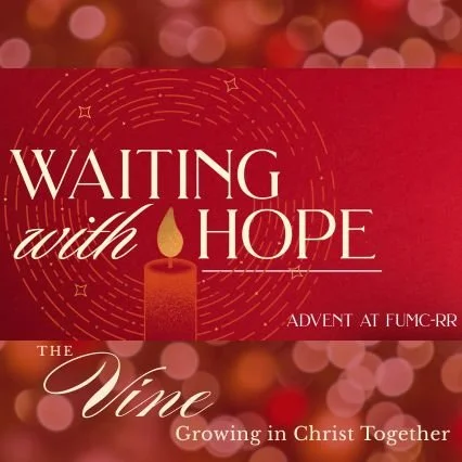 The Vine: Dec. 1, 2025