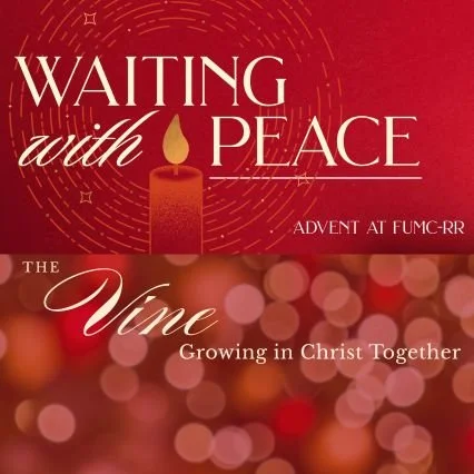 The Vine: Dec. 8, 2025 