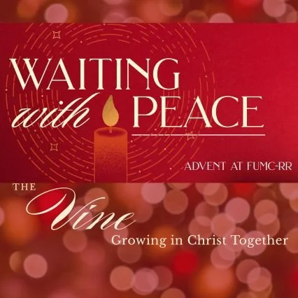 The Vine: Dec. 8, 2025 