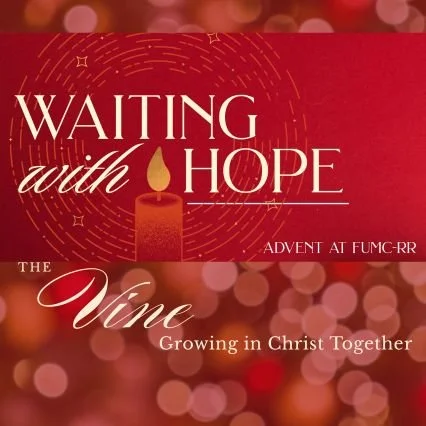 The Vine: Dec. 1, 2025