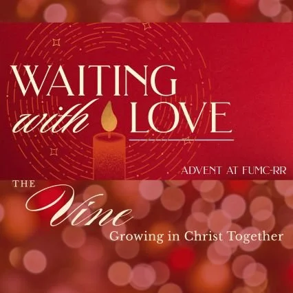 The Vine: Dec. 22, 2025 