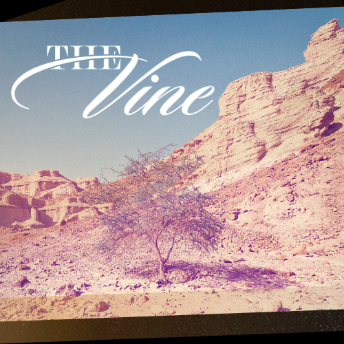 The Vine Weekly Devotional 