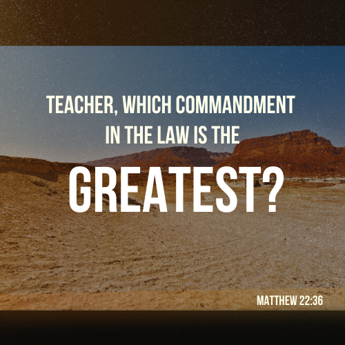 The Vine: Feb. 23, 2026