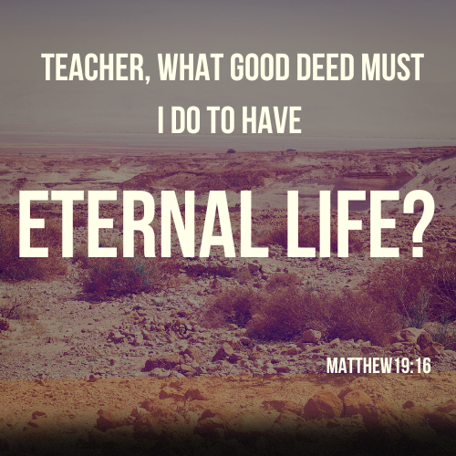 The Vine: March 16, 2026  