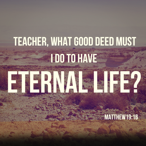 The Vine: March 16, 2026  