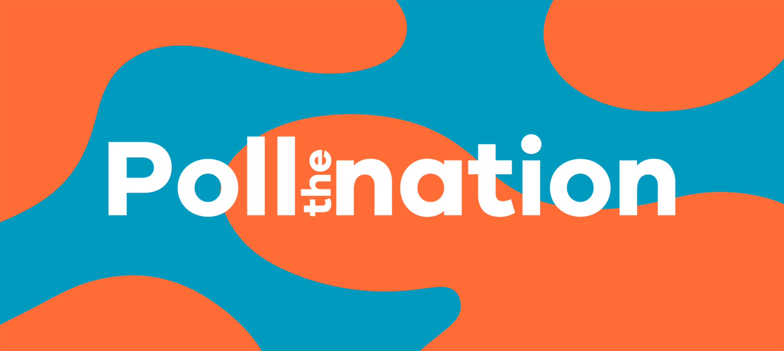 PollTheNation.png