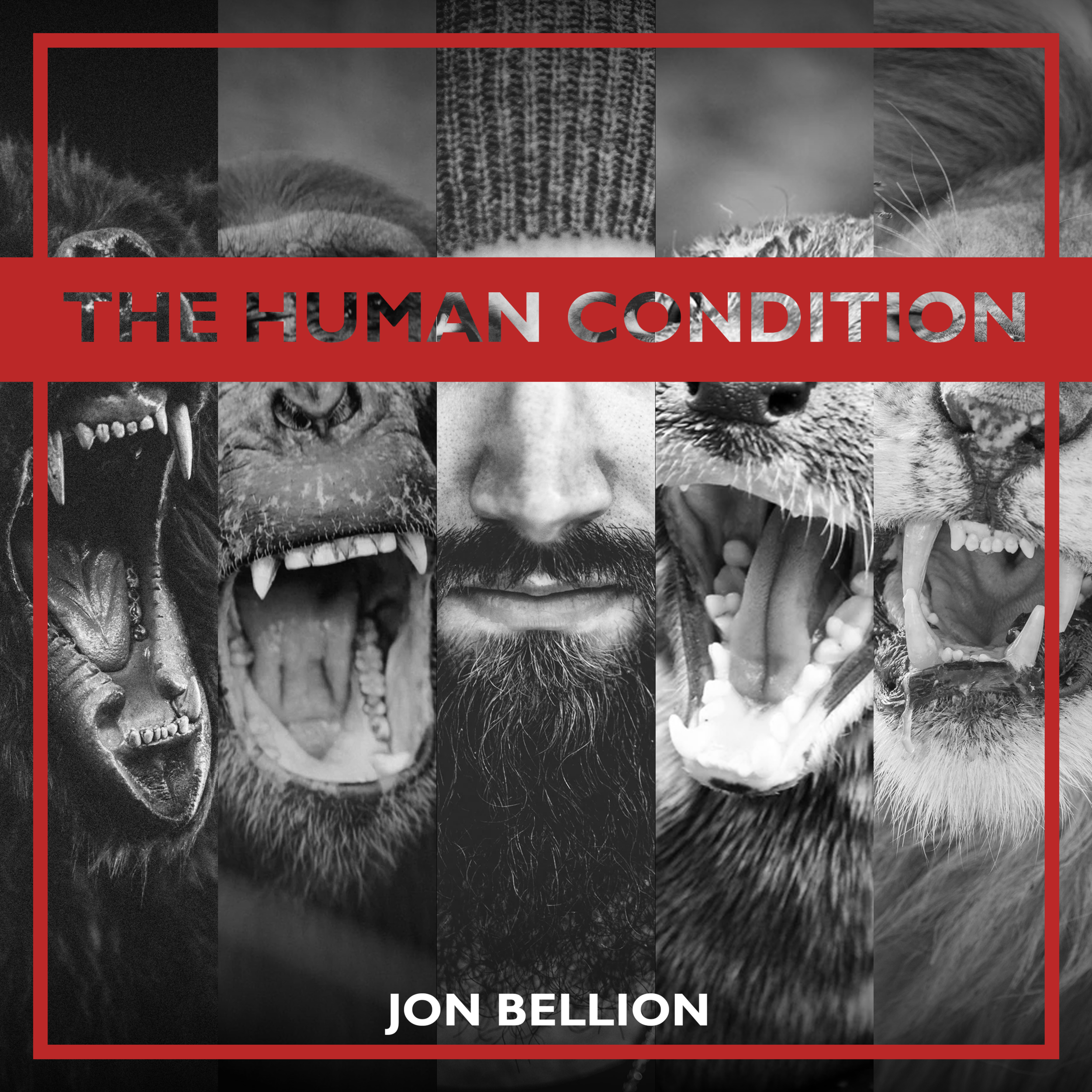 The Human Condition.png