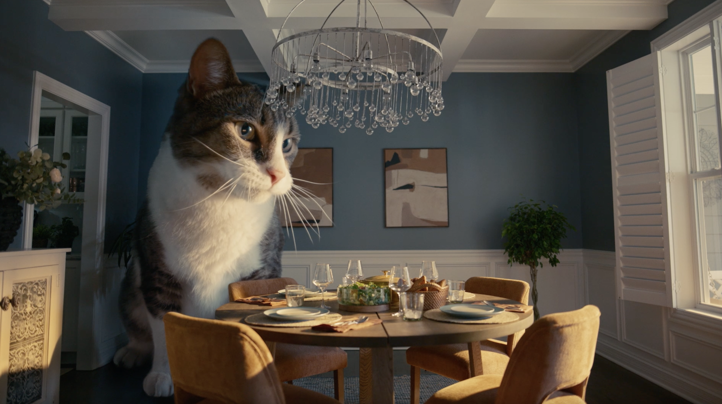 BIG CAT DINNER PARTY.png