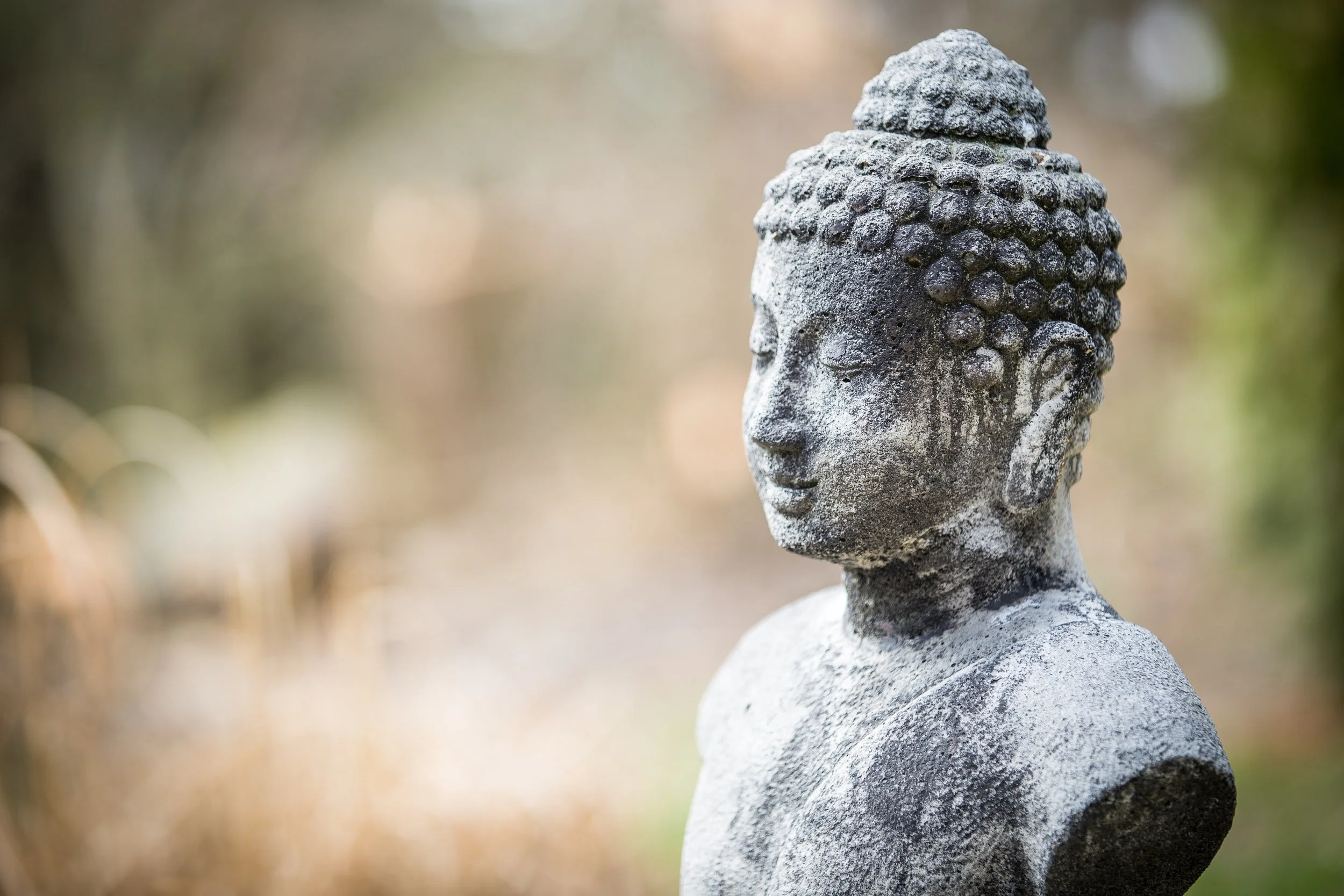 Introduction to Meditation - six week class - Wednesdays at 12:30 pm - $90