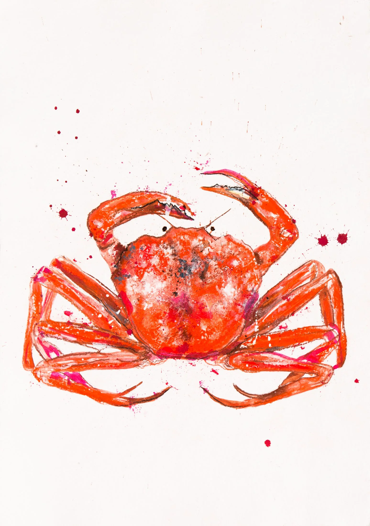 Magenta Love Crab I