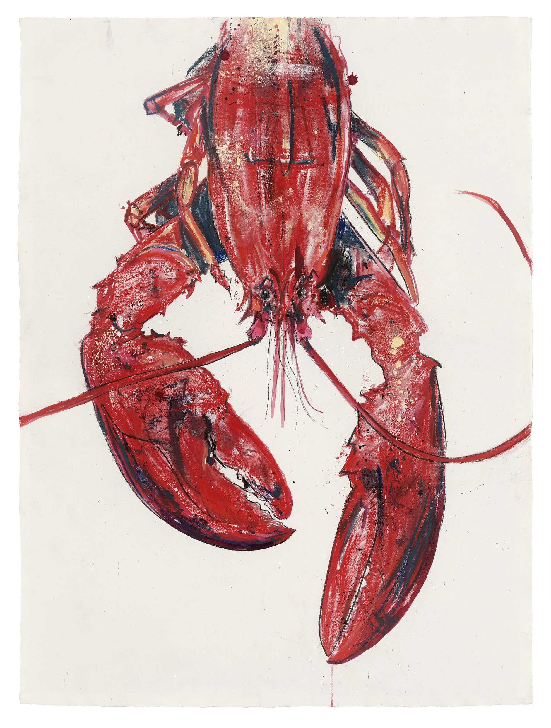 Sophie Elinor Martin_Lobster 3_76x57cm.jpg