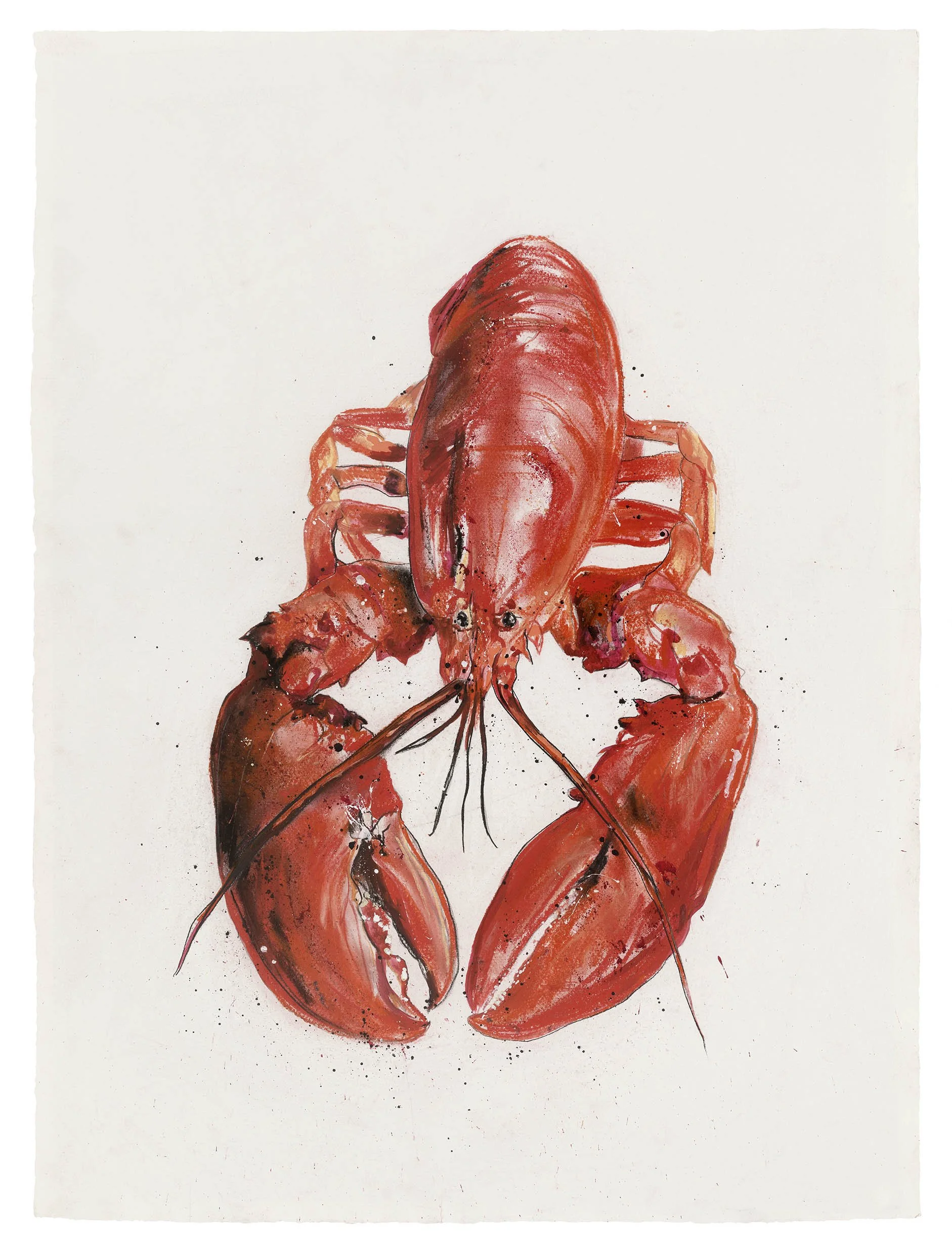 Sophie Elinor Martin_Lobster 2_76x57cm.jpg