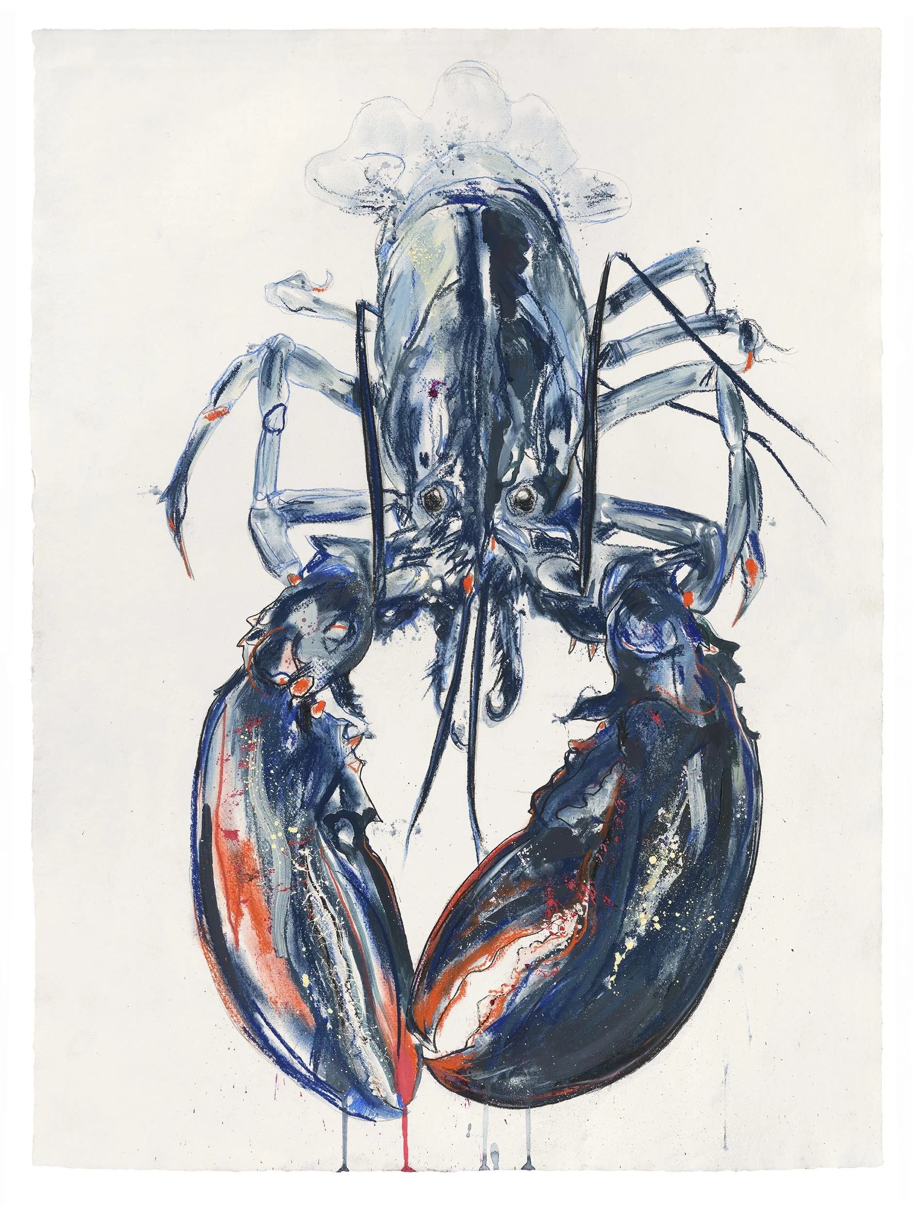 Sophie Elinor Martin_Lobster_76x57cm.jpg