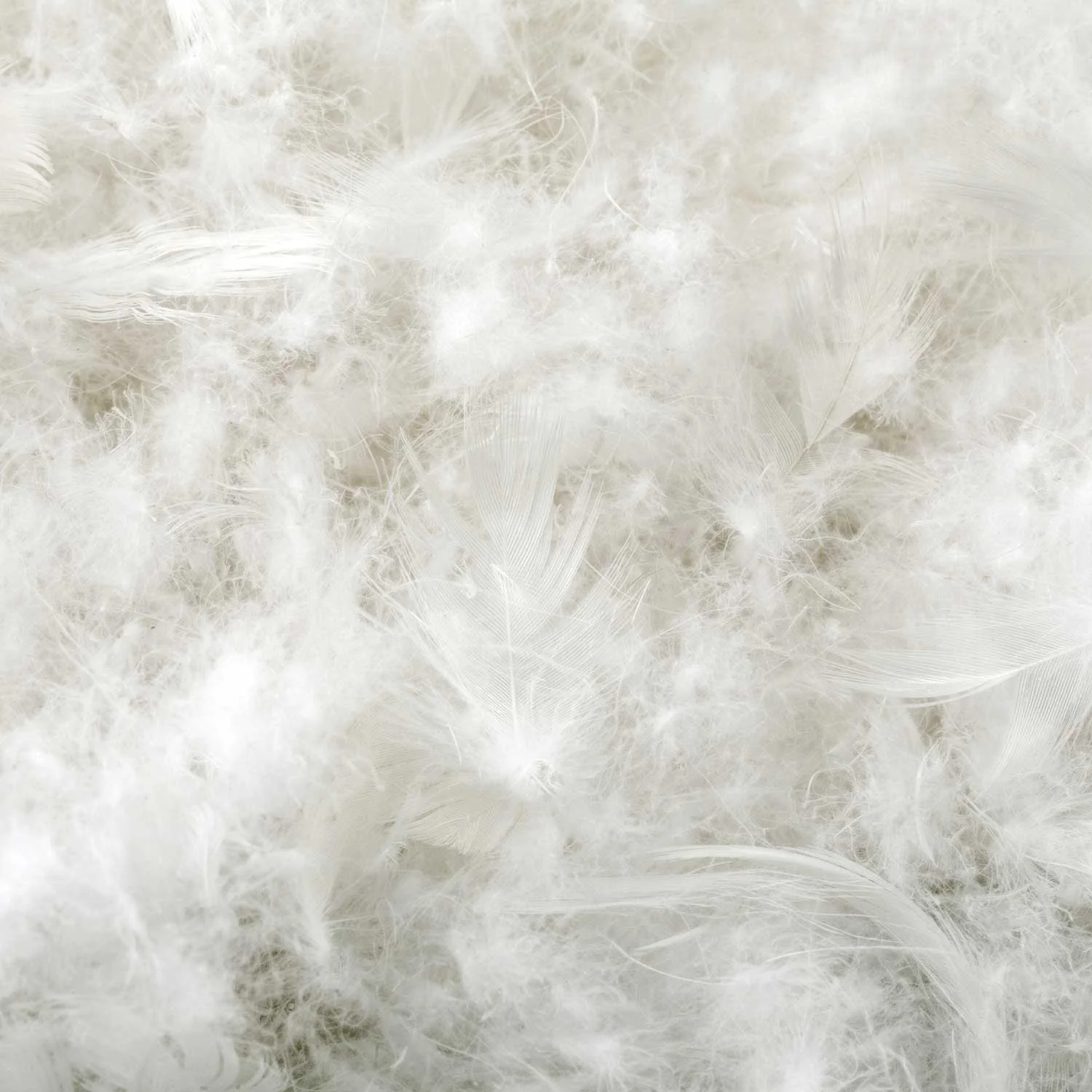 Photo of Down Blend Comforter material.