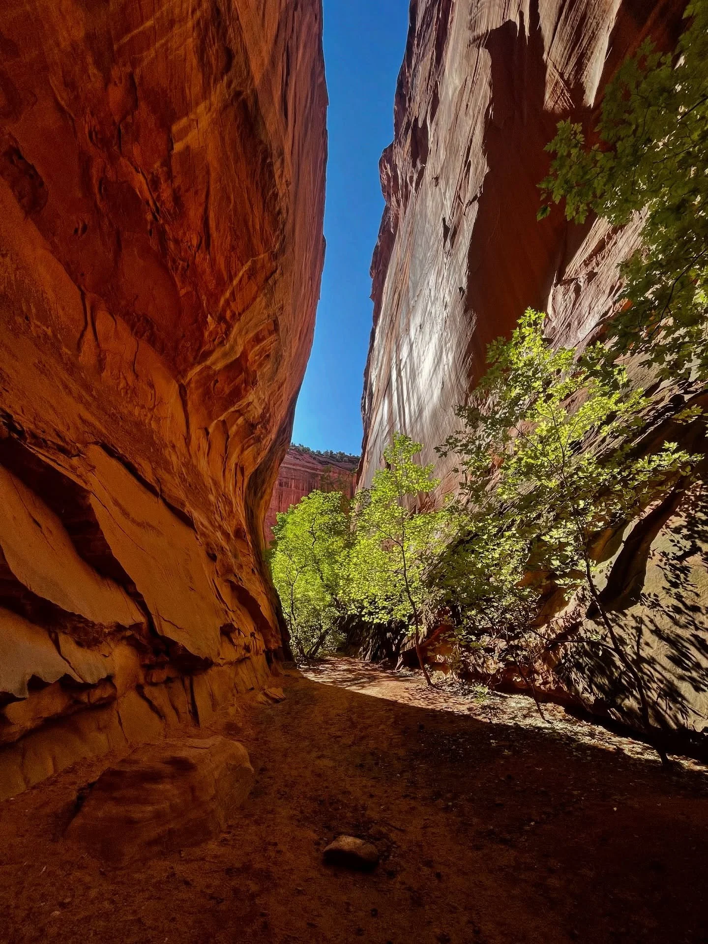 Spent a lil time in the desert for a long weekend. Friday and Saturday were dedicated to trying to sell art at the Escalante Canyon Arts Festival, where I barely paid for my booth fee. Slow sales and low traffic may have been caused by the impending 