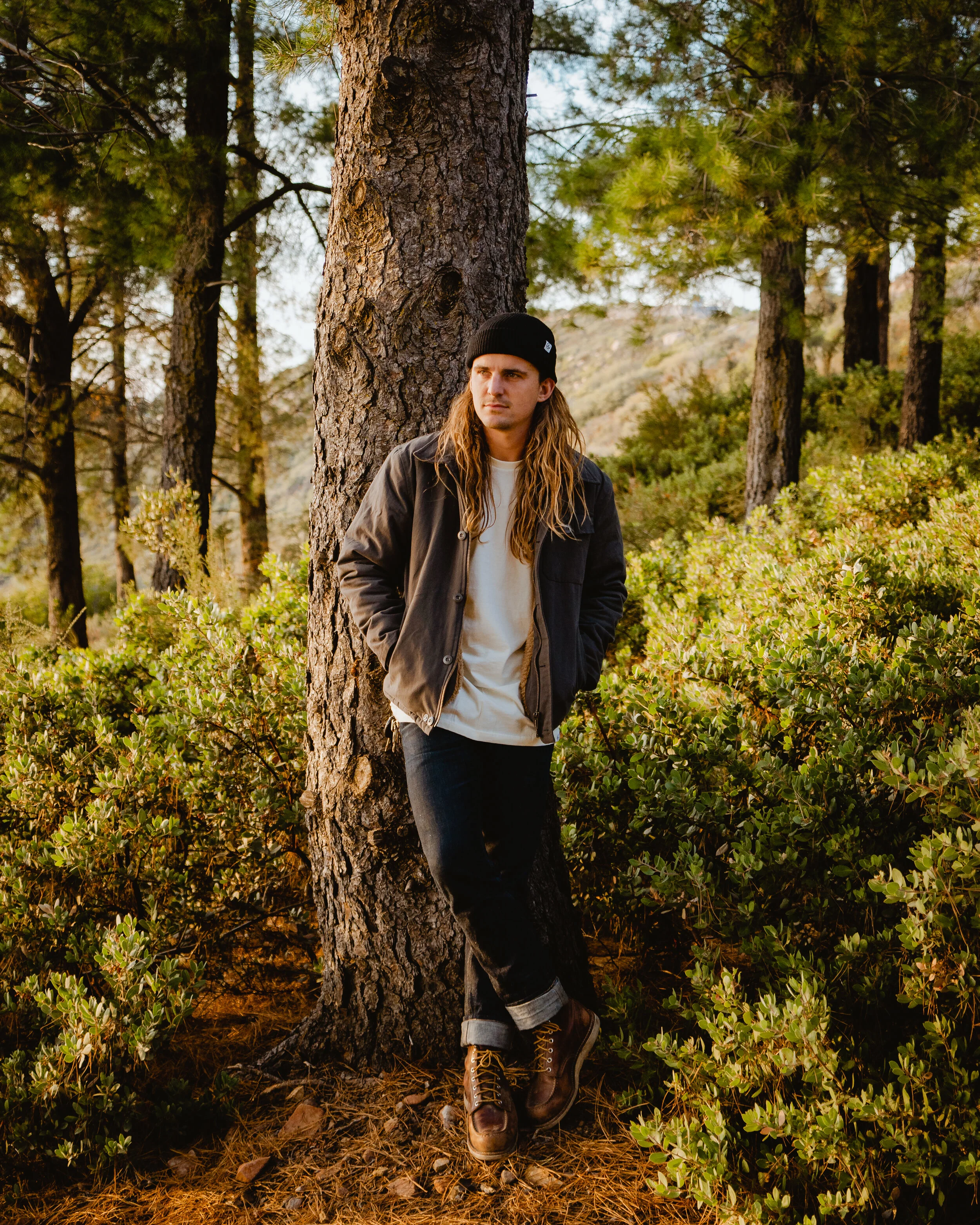 Outdoor Jacket Pine Trees