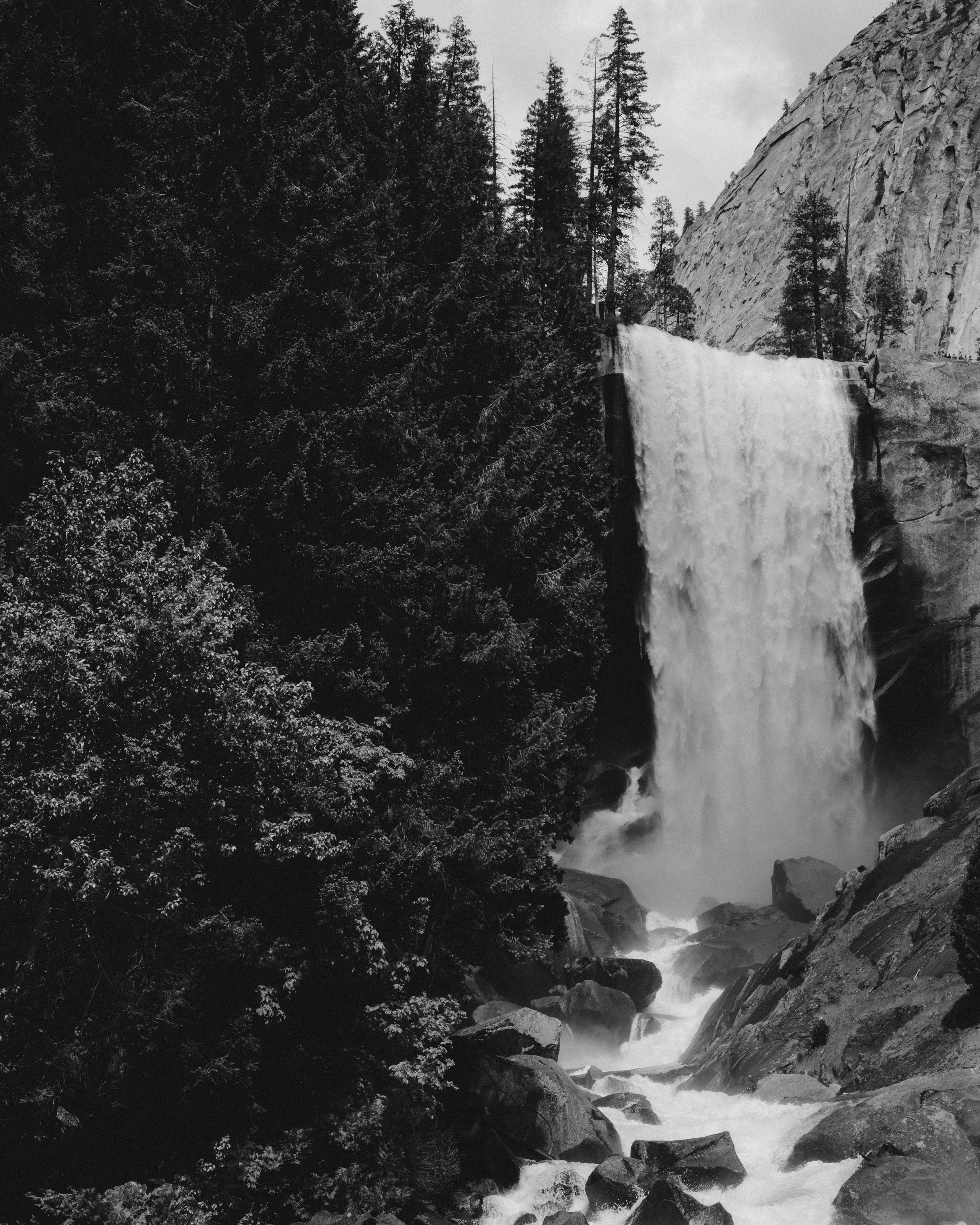 Black and white photo of a waterfall cascading down a rocky cliff surrounded by trees.