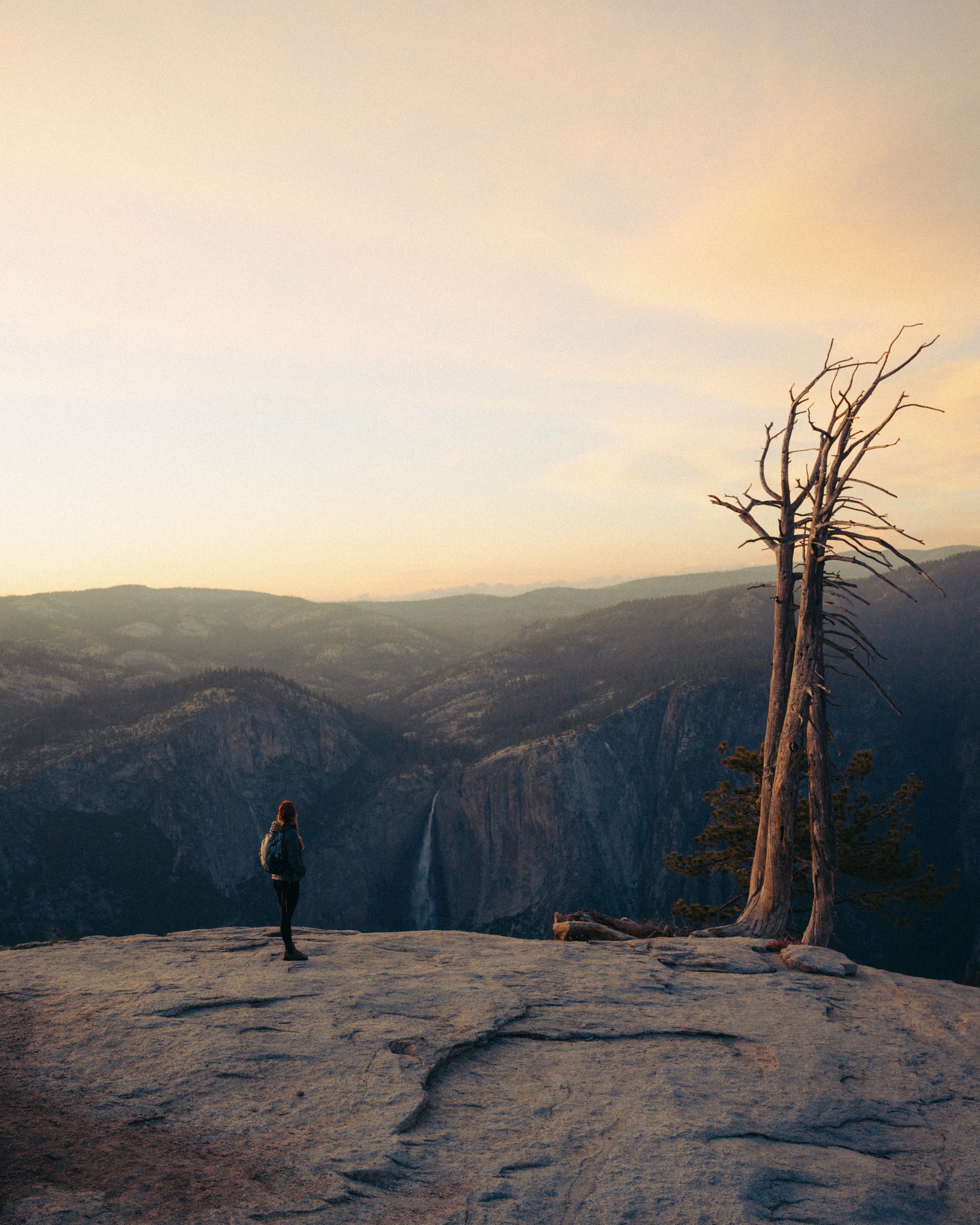 A person with a backpack hiking in a mountainous area during sunset, with a leafless tree in the foreground.