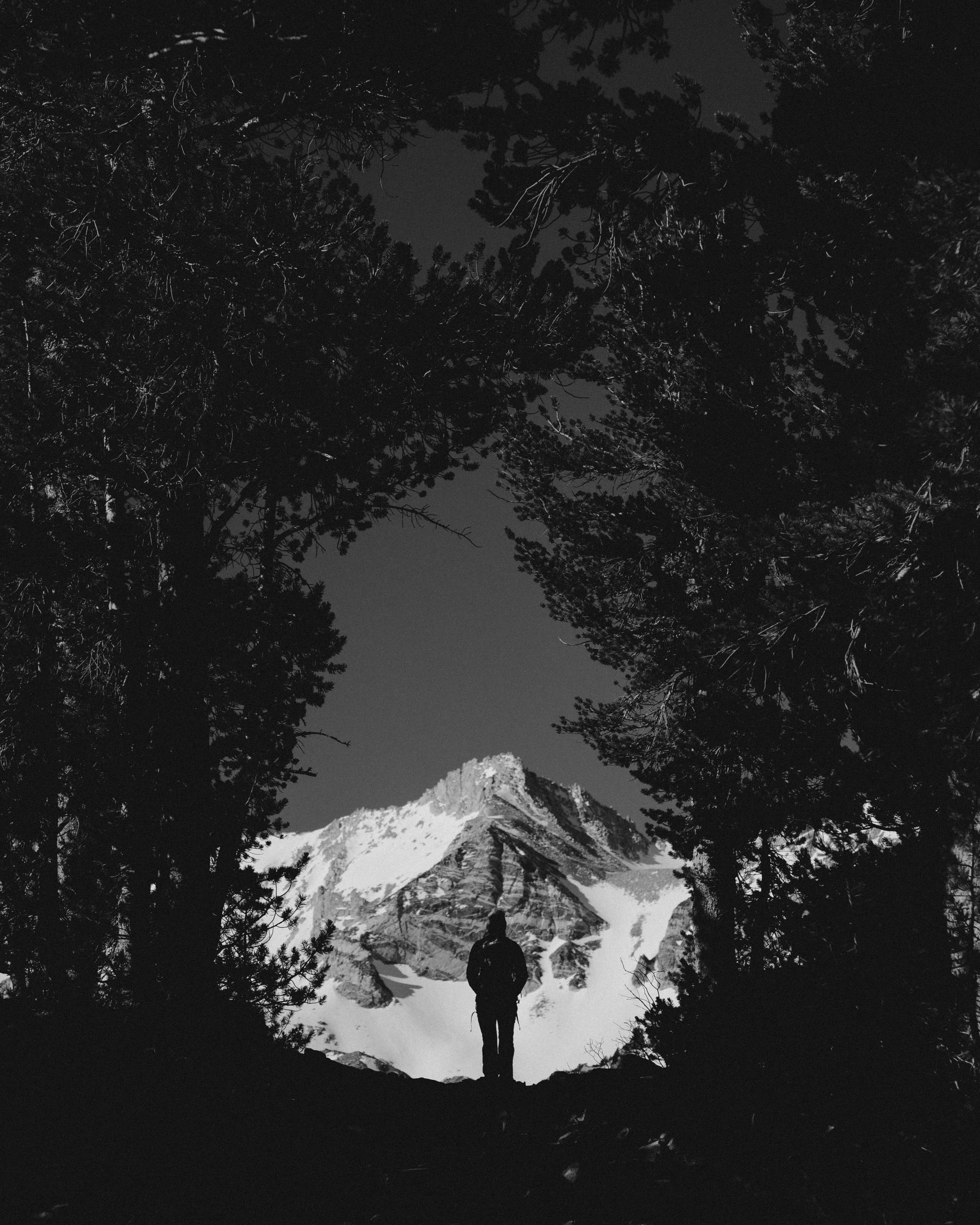 Black and white photo of a person standing on a rocky ground overlooking snow-capped mountain peaks, with tall trees framing the scene and a clear sky above.