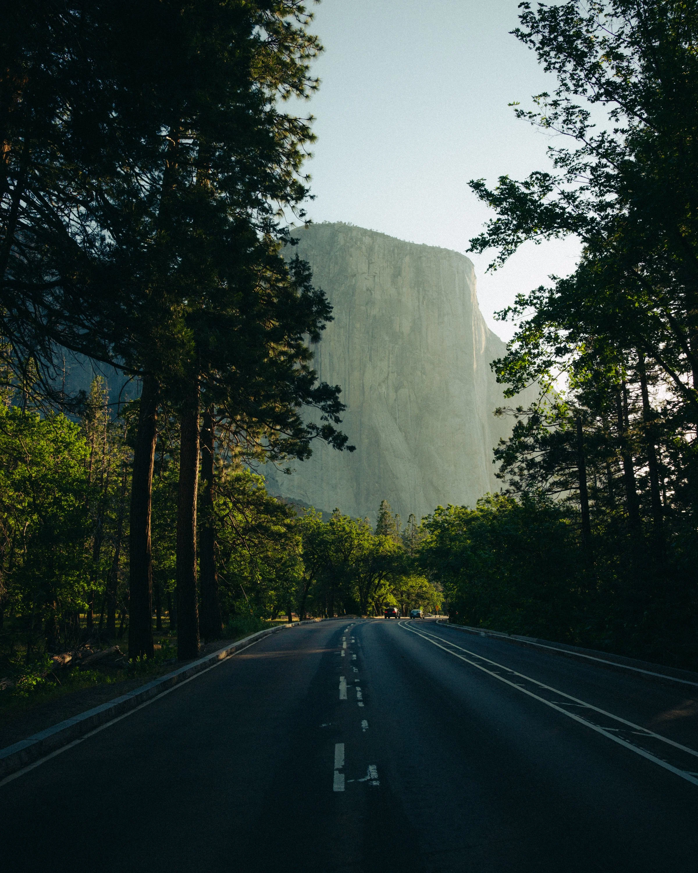 An empty two-lane road running through a forested area, with trees lining both sides and a large mountain in the background, under a clear sky.