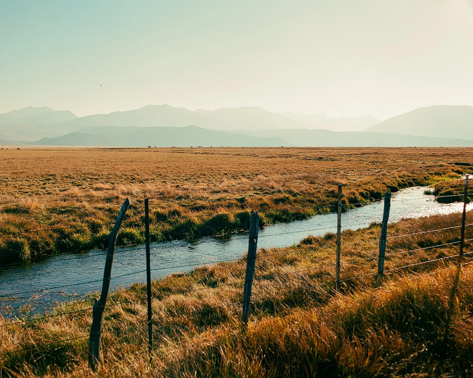 A vast grassland with a small water stream running through it, fenced with wooden posts, and mountains in the background under a clear sky.