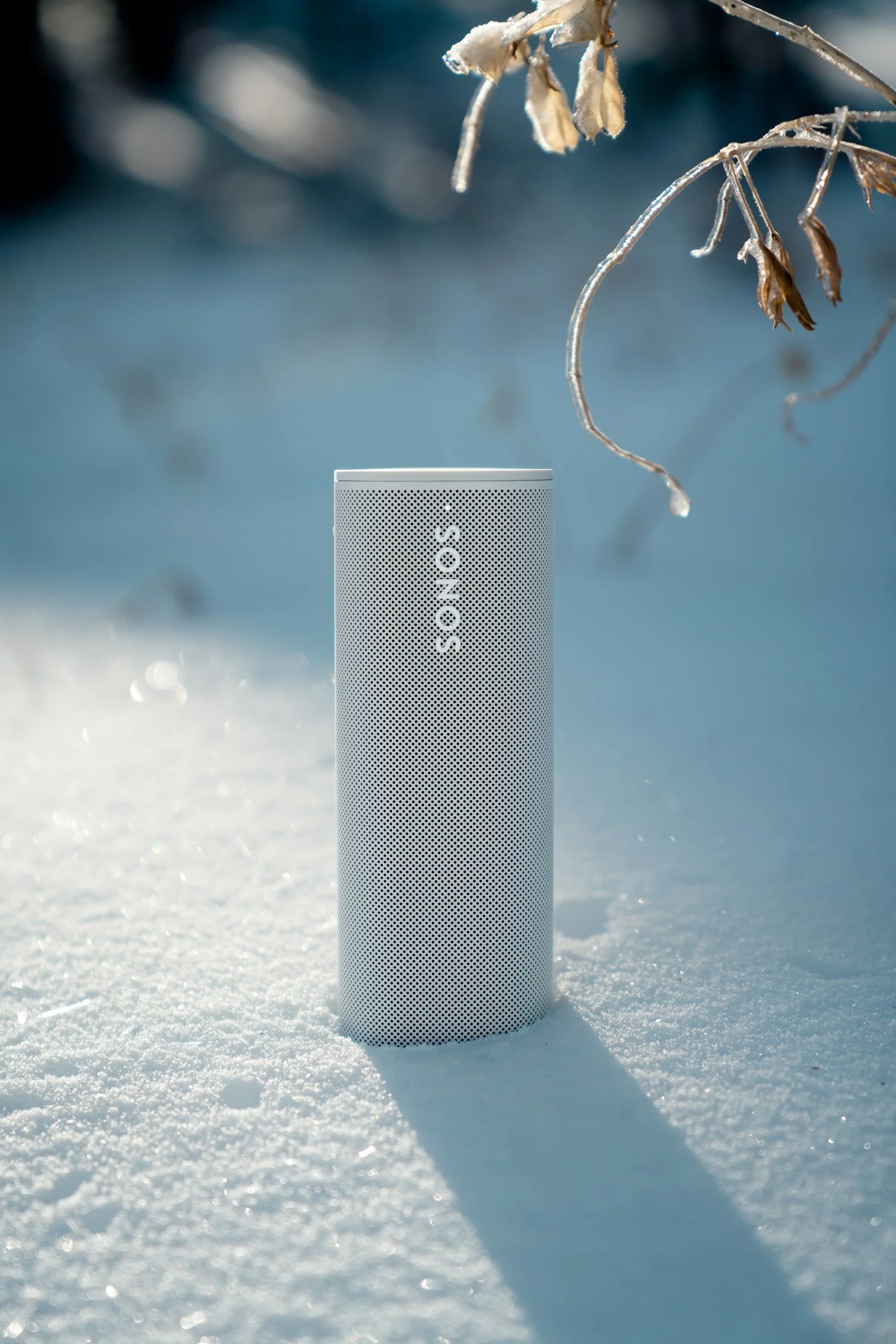 A cylindrical Sonos speaker standing on snow outdoors, with frost-covered branches above and a blurred winter landscape in the background.