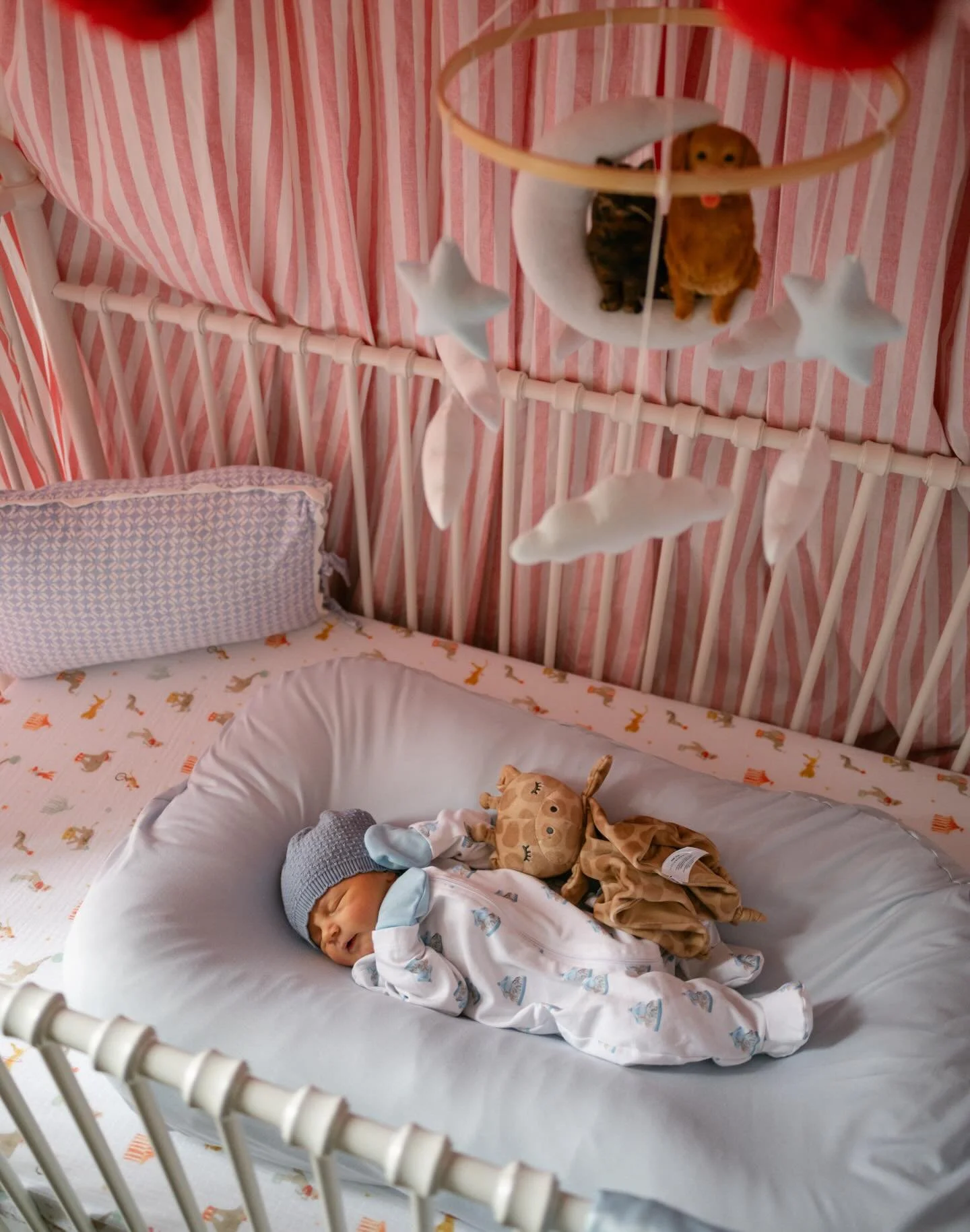 The greatest privilege in the world to welcome home our sweet boy Leo James Peklinsky 💙💙💙
Born on his due date; 1/22/2026
7 pounds 15 oz of sweet baby angel 💙✨
thank you God!