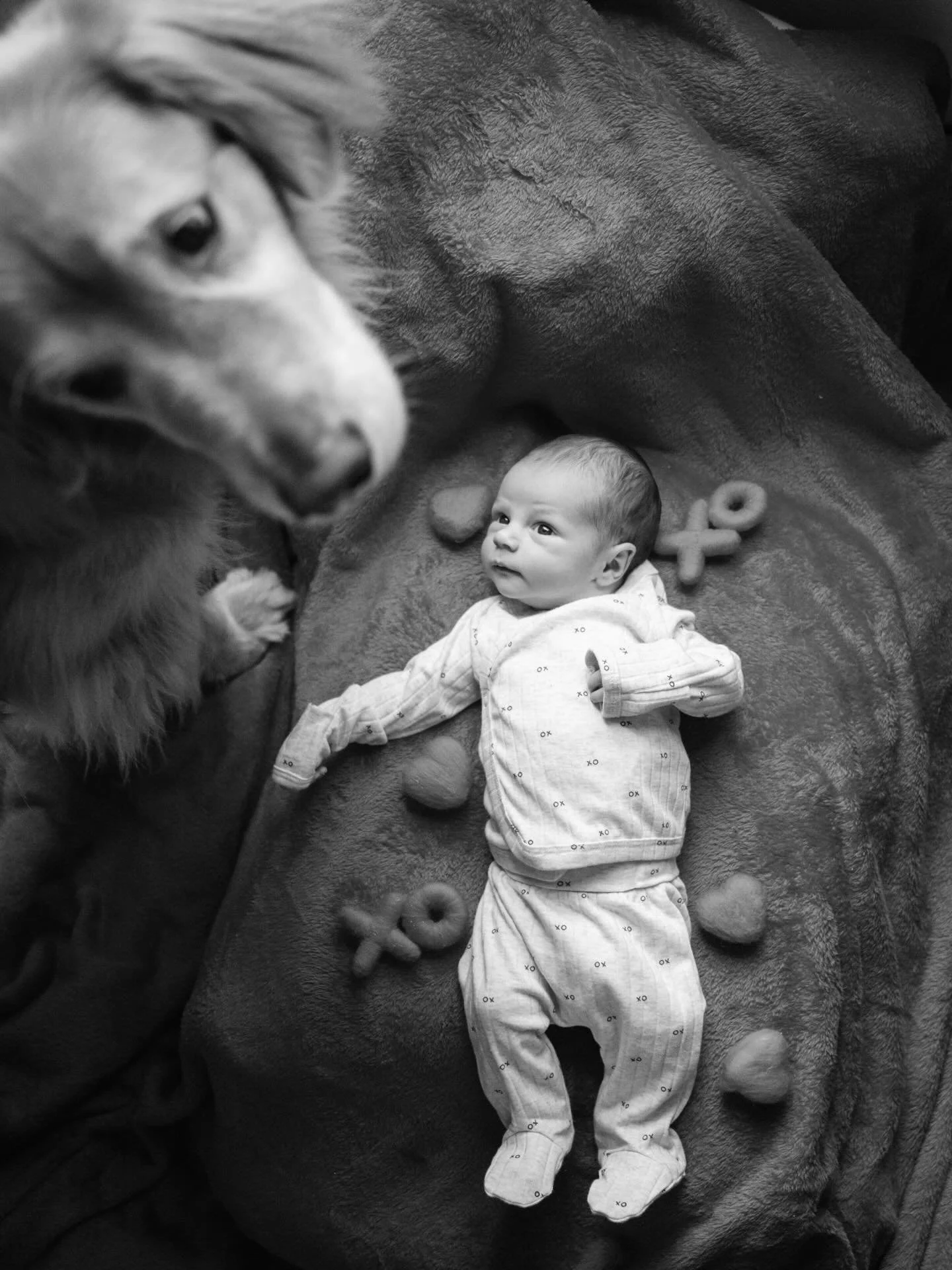 Happy Valentine&rsquo;s Day from our little love ❤️❤️❤️