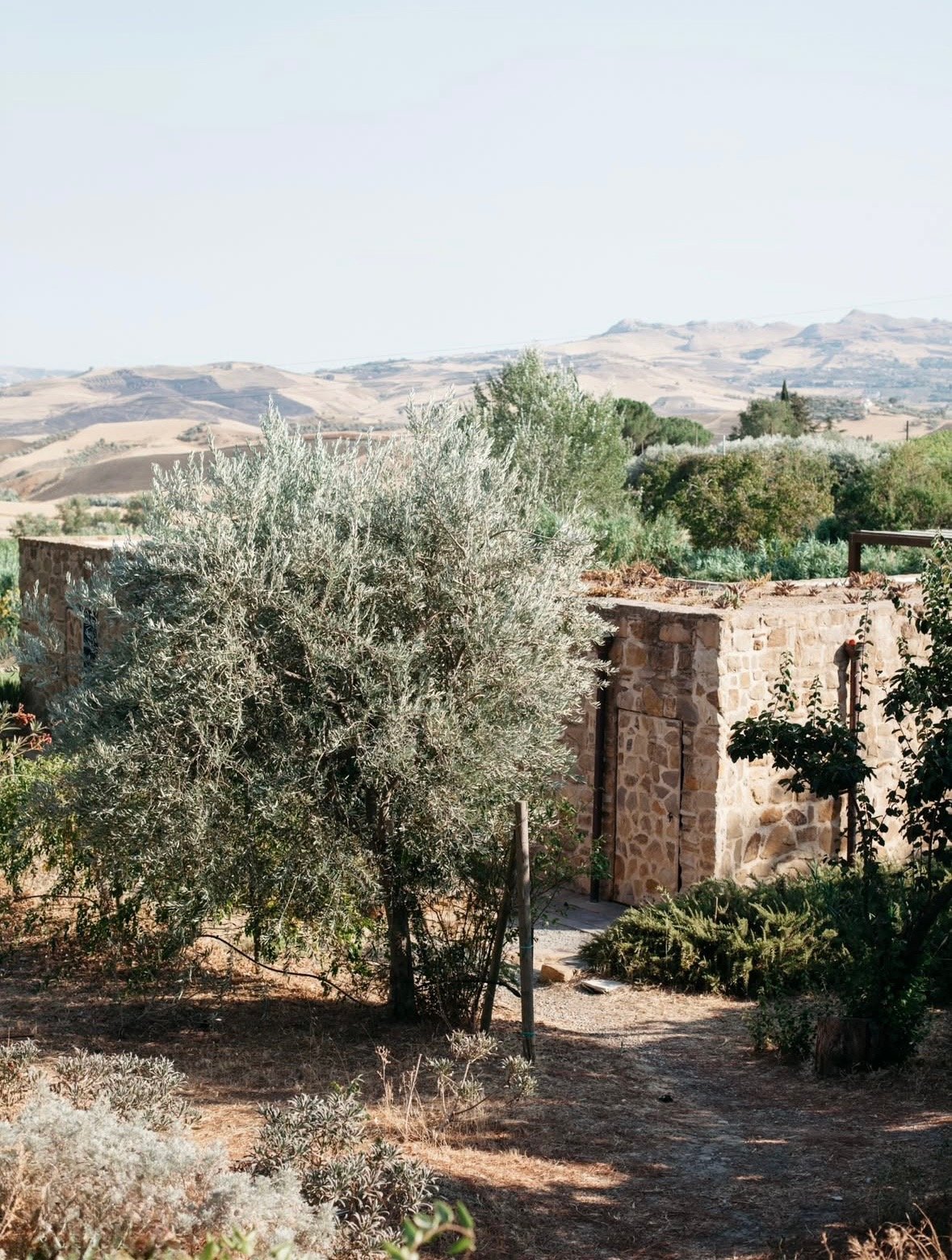 Fabrizia Lanza Sicilian Dinner 