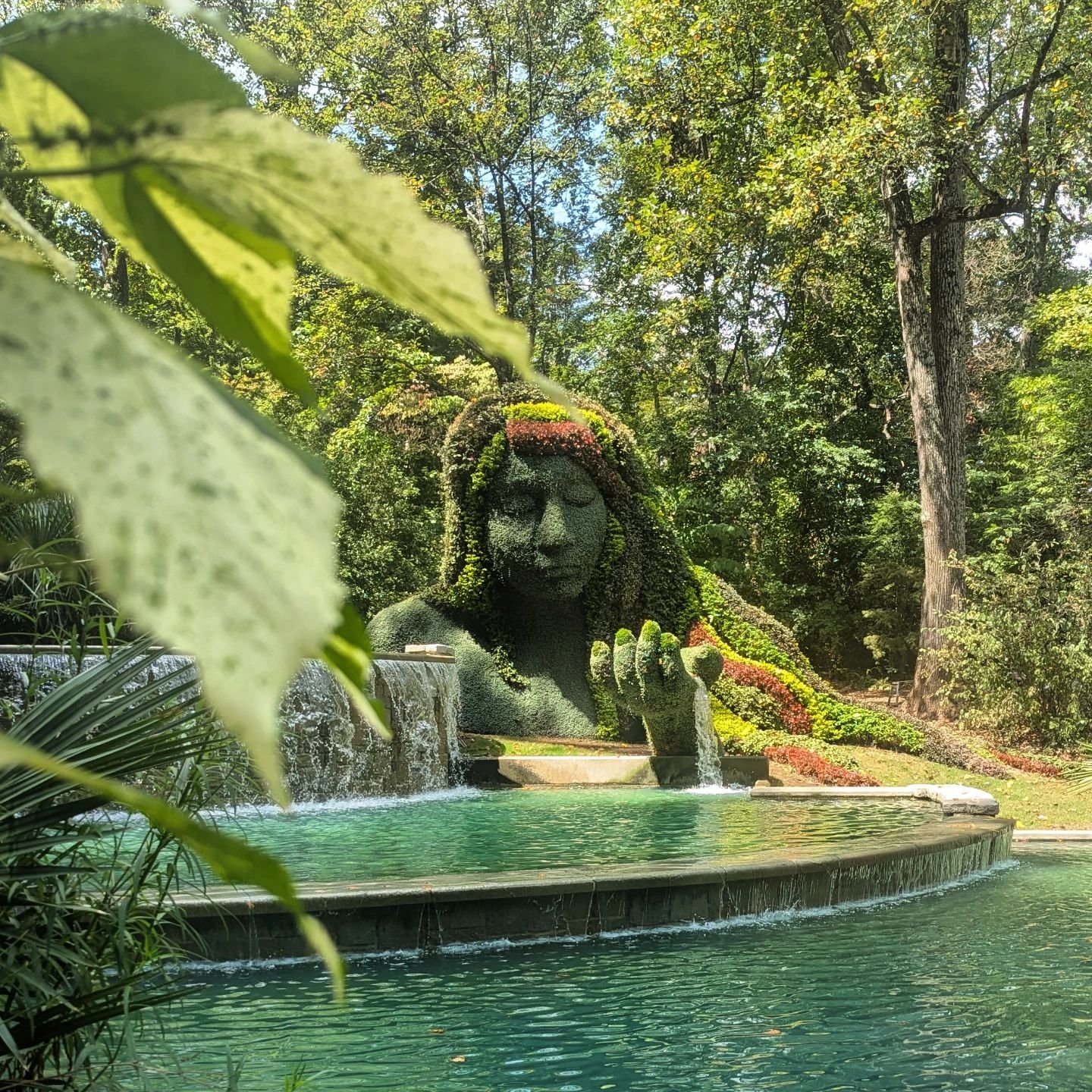 An idyllic Saturday 🌱