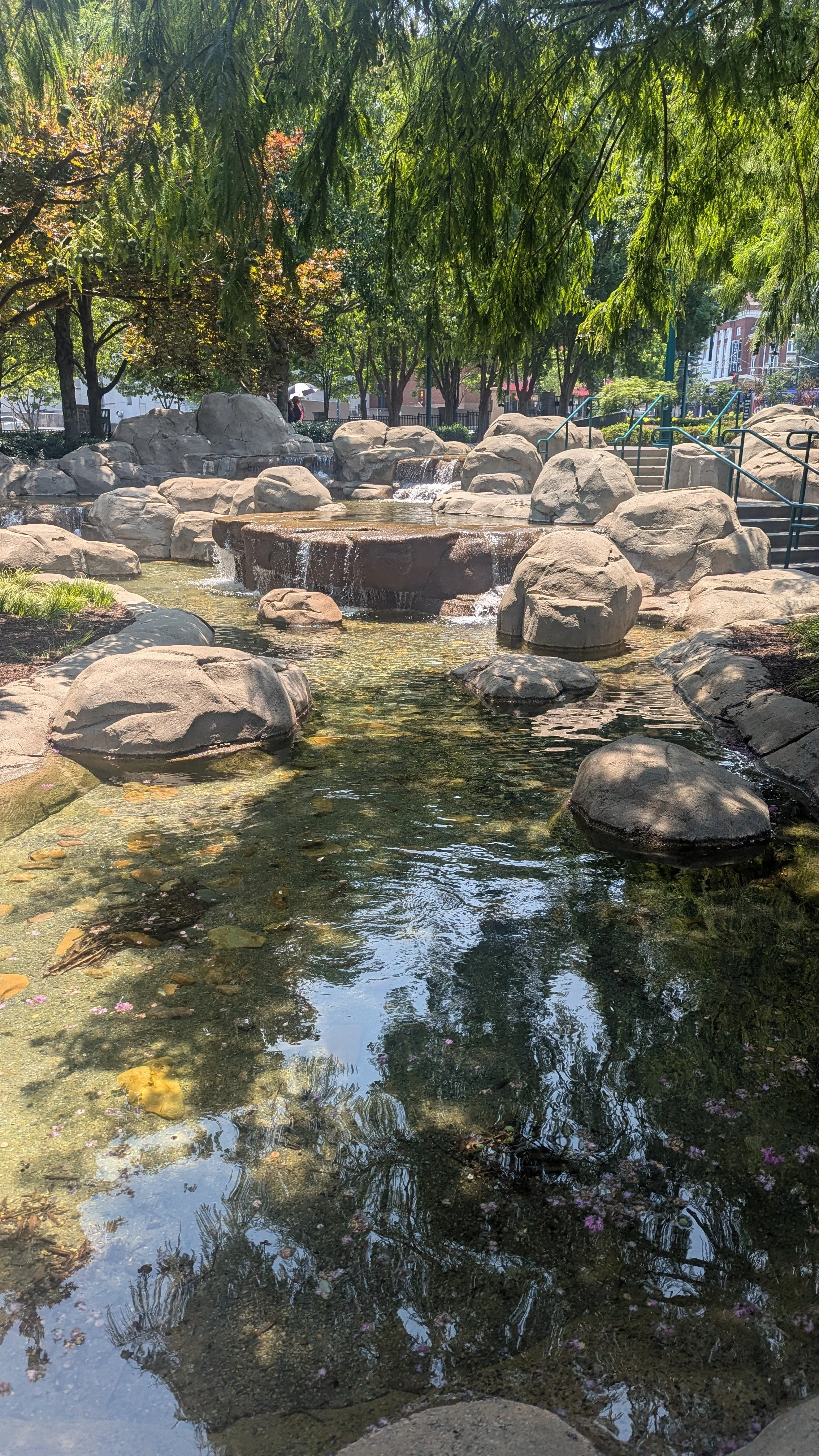 PXL_20240715_164340104.jpg