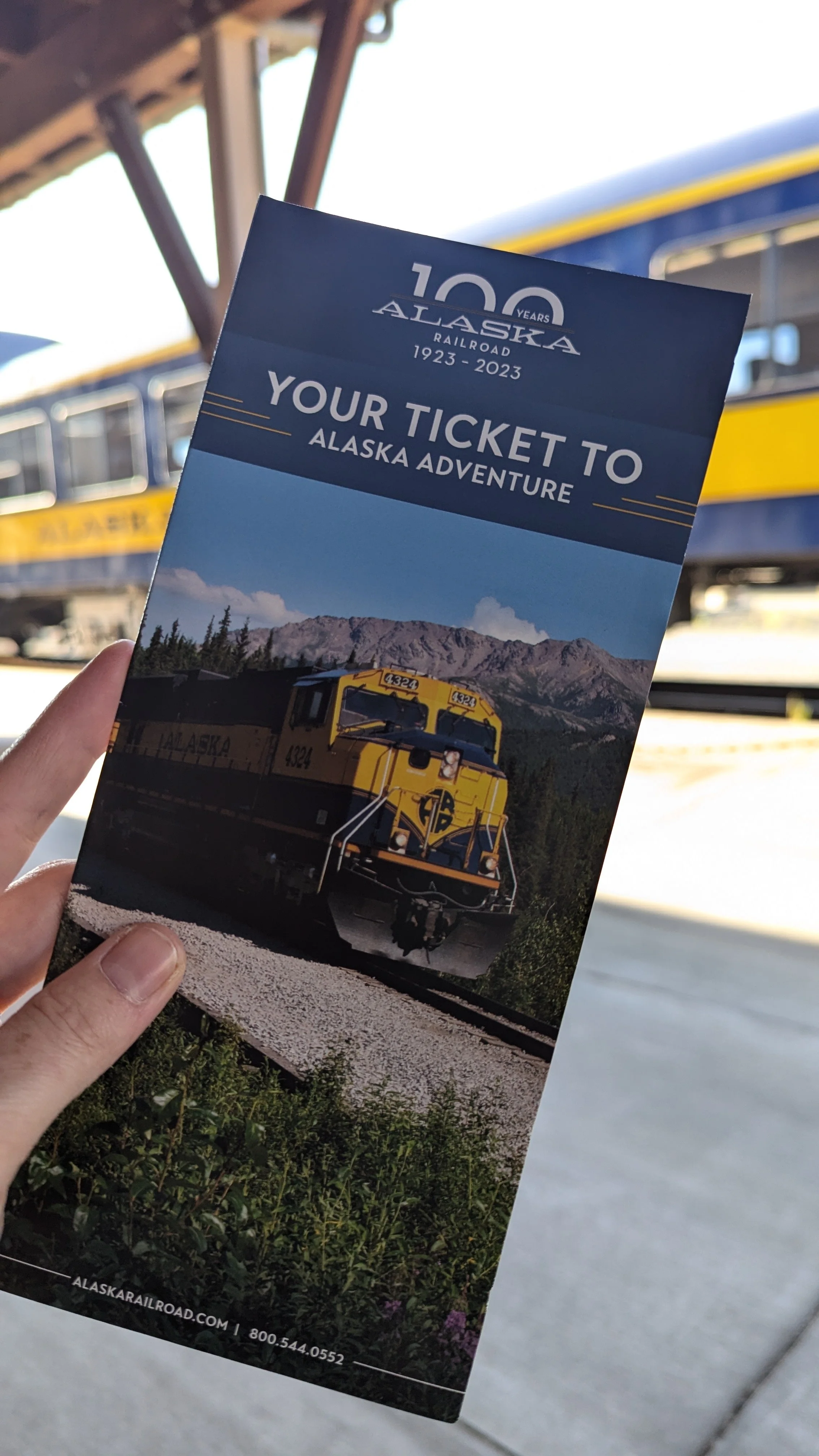 My Survival Kit for 12 Hours on a Train