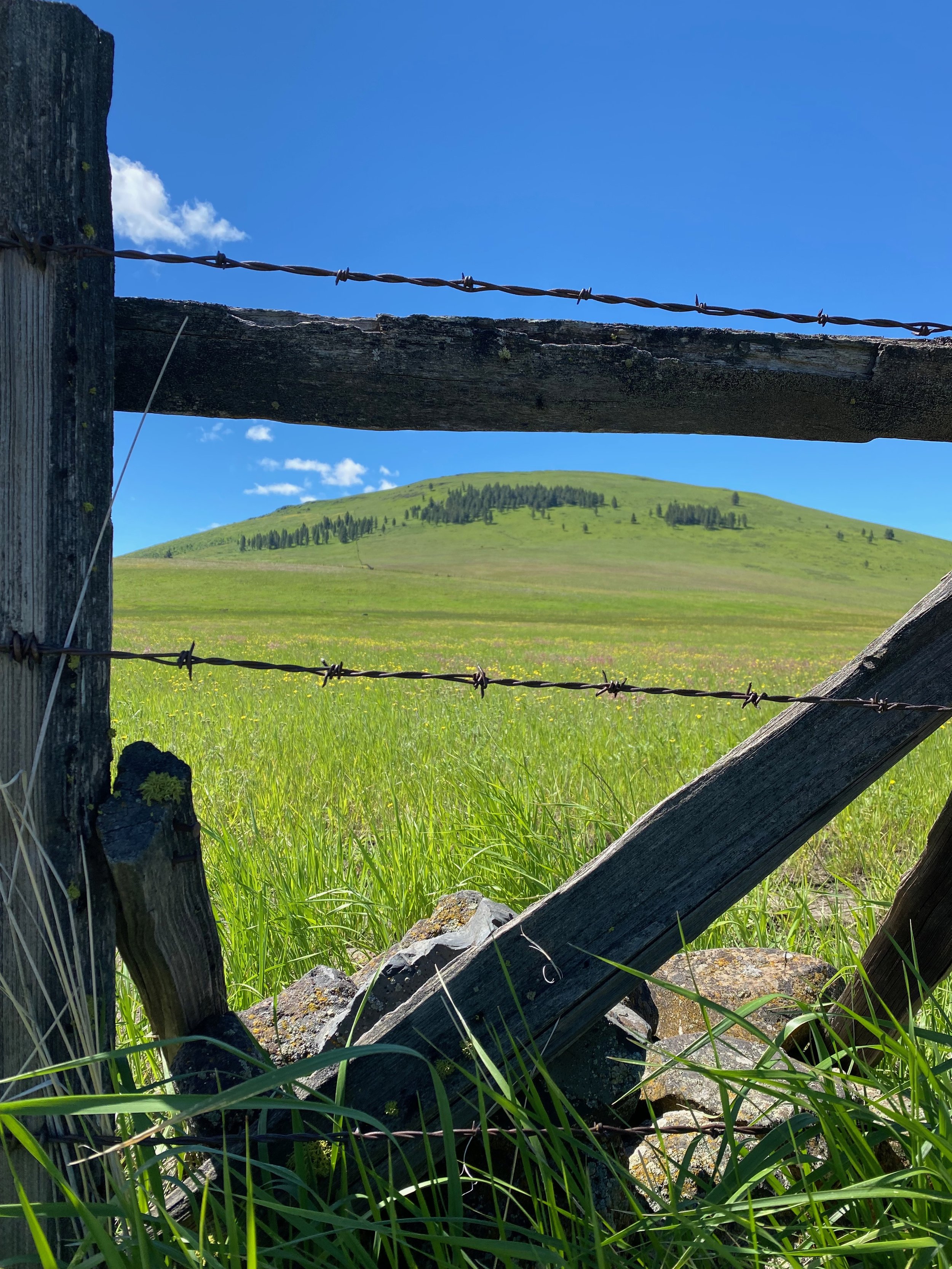 ORGL 615 Organizational Theory and Behavior