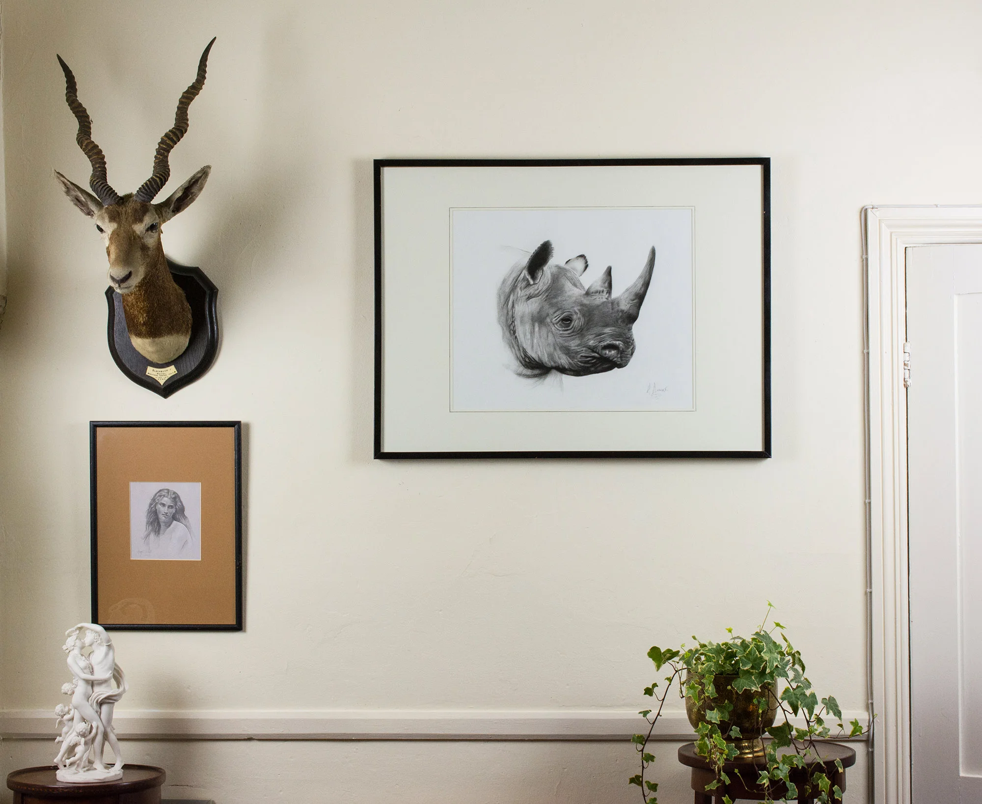 black_rhino_frame.jpg