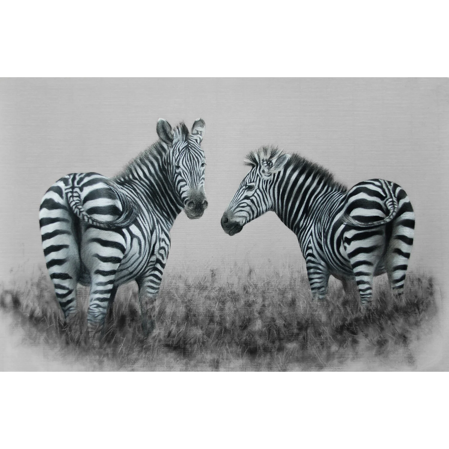 zebra_pair.jpg