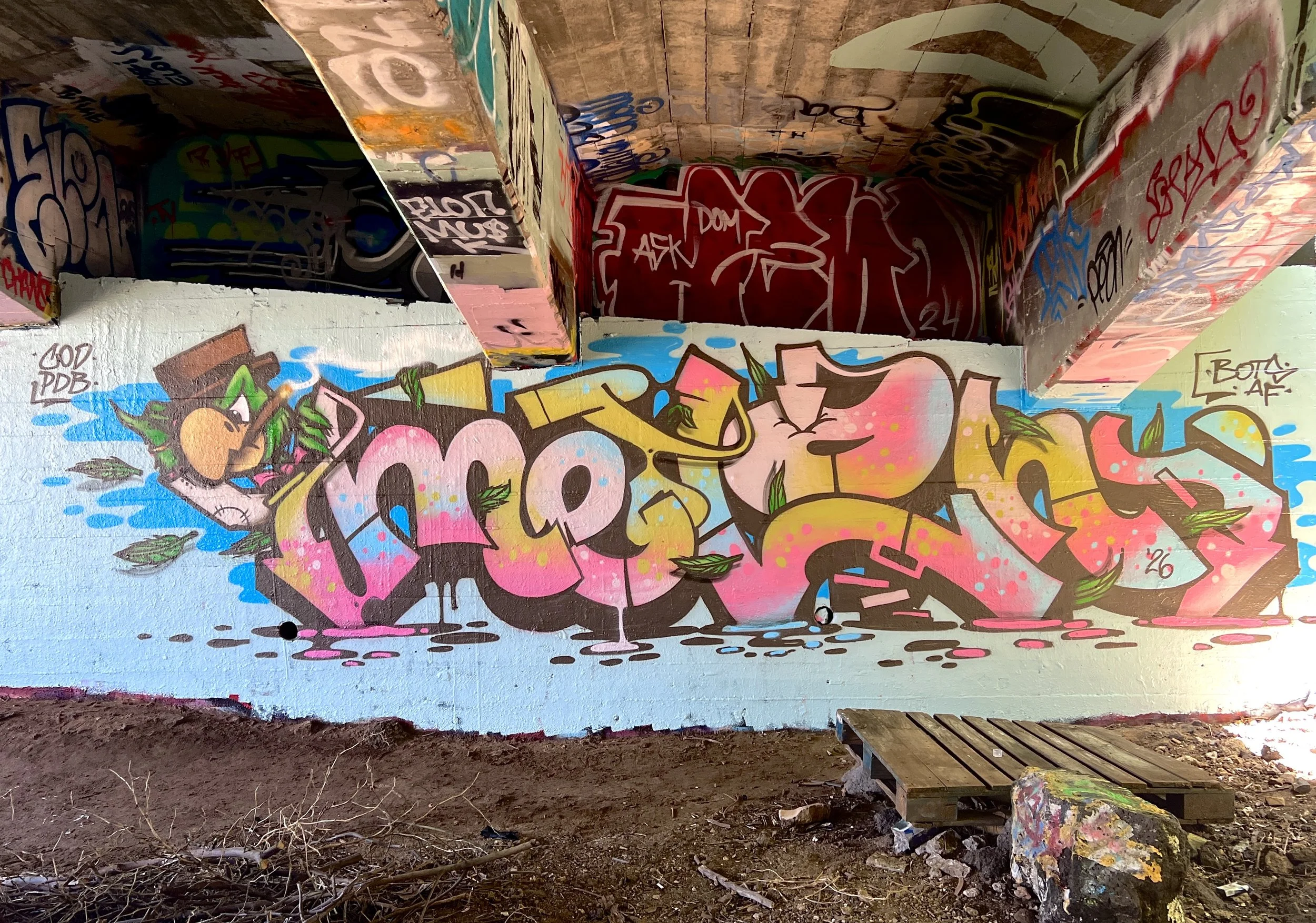 IMG_1264.jpeg