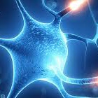 neuron.jpg