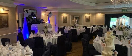 "Stevie is amazing and the best part of our wedding planning experience"