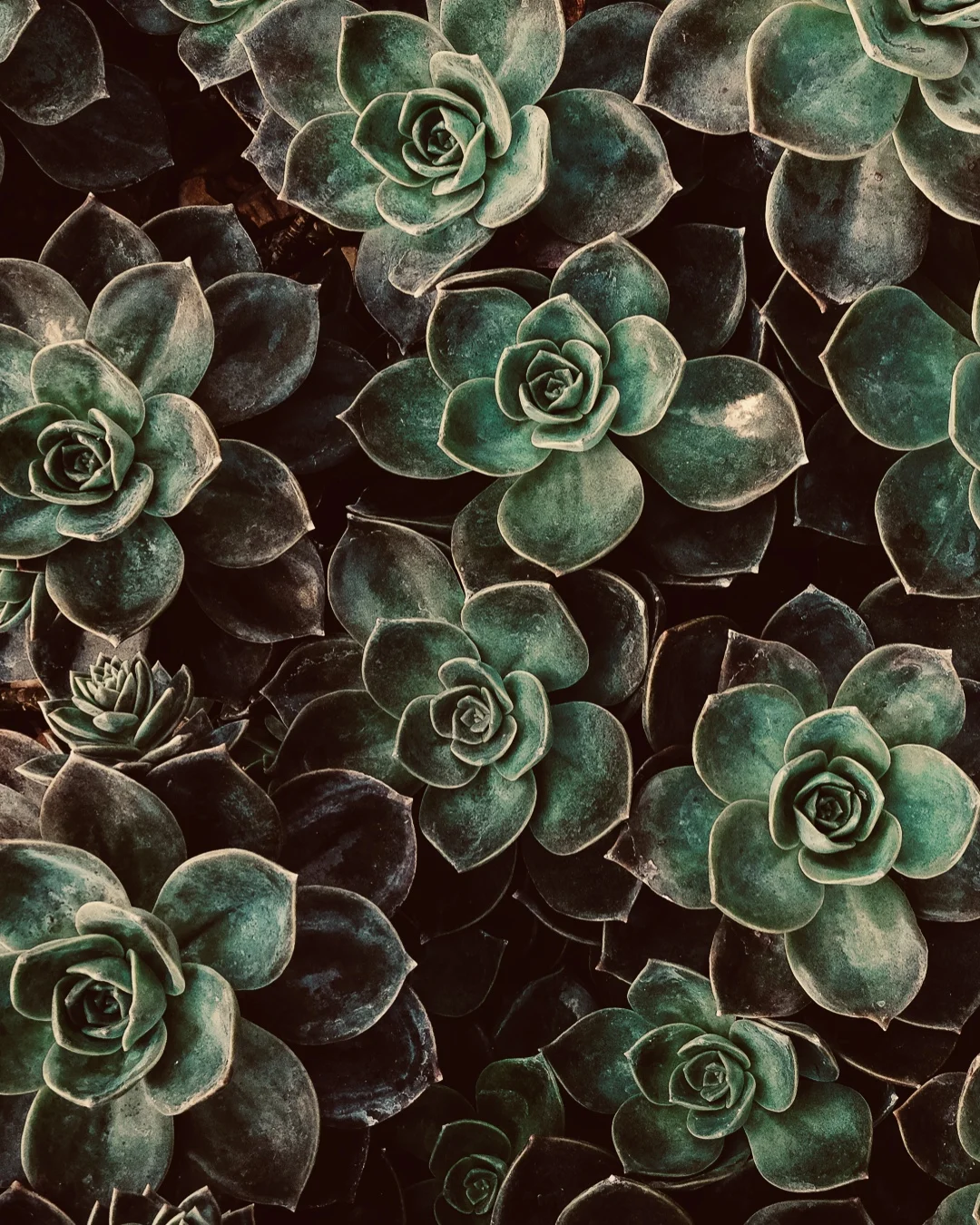 Future Museums Healers Ensemble: Sound Bath 6/28