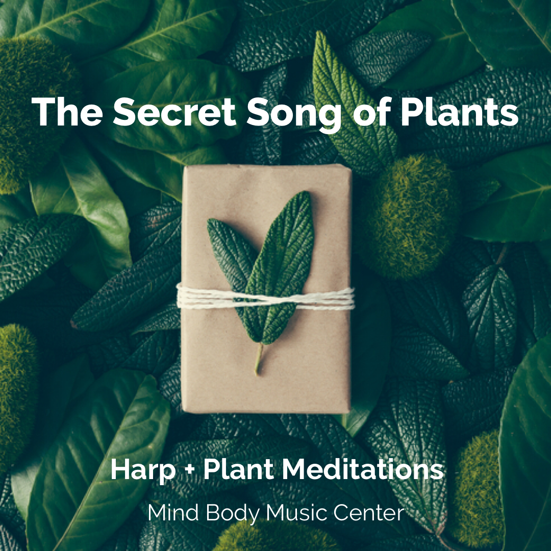 The Secret Song Of Plants Mind Body Music