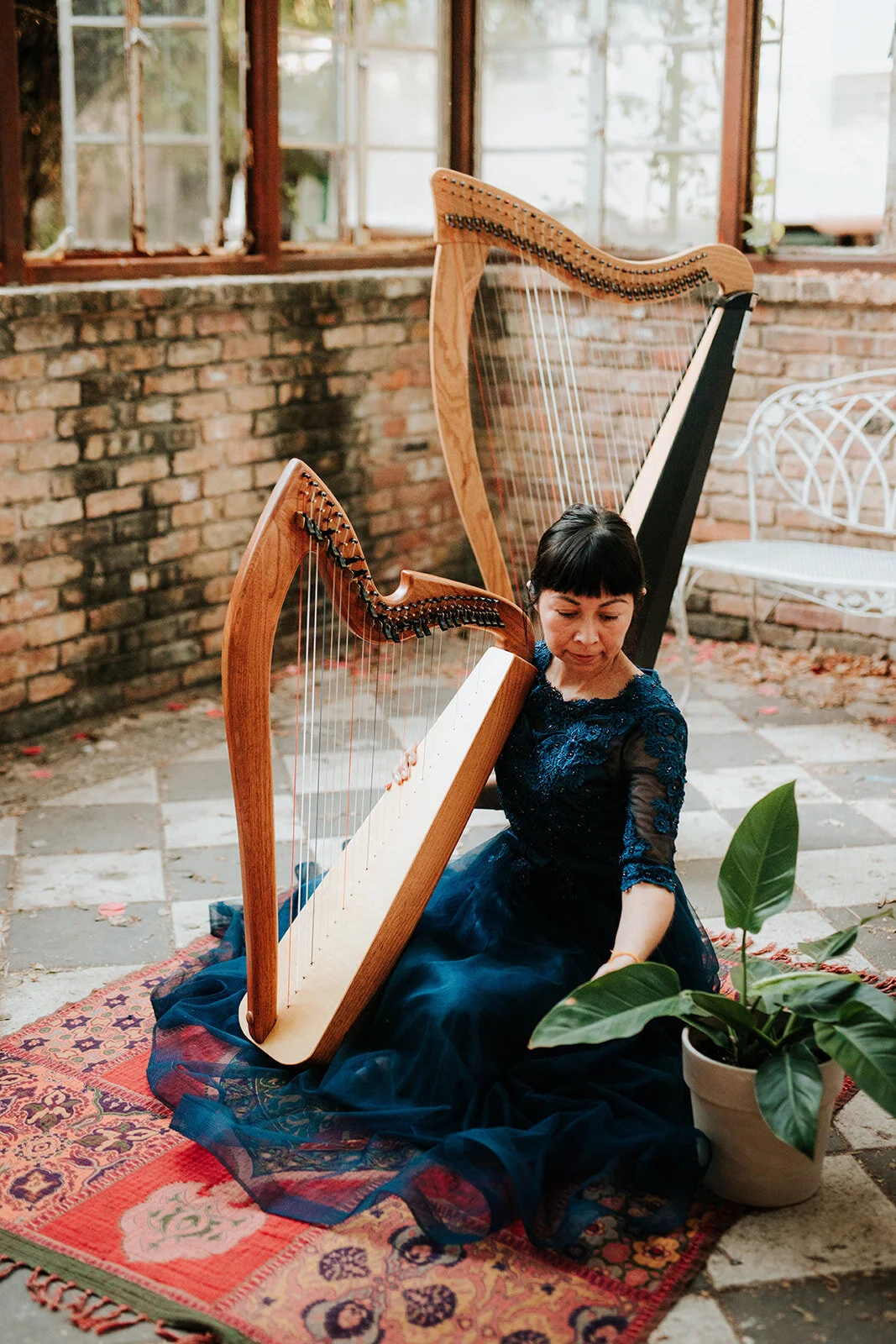 Album Release: The Secret Song of Plants