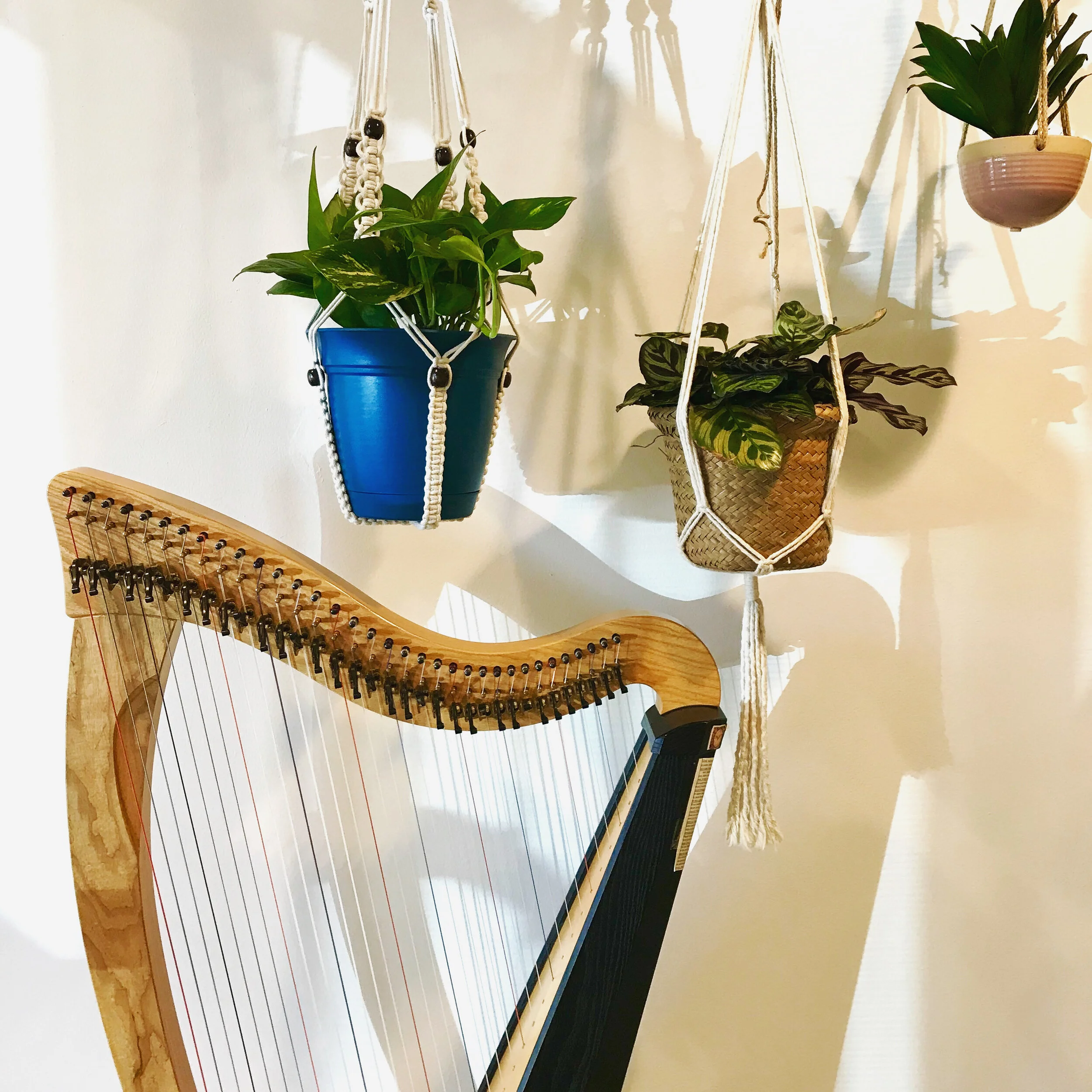 Plant Swap and Plant Music Demo 