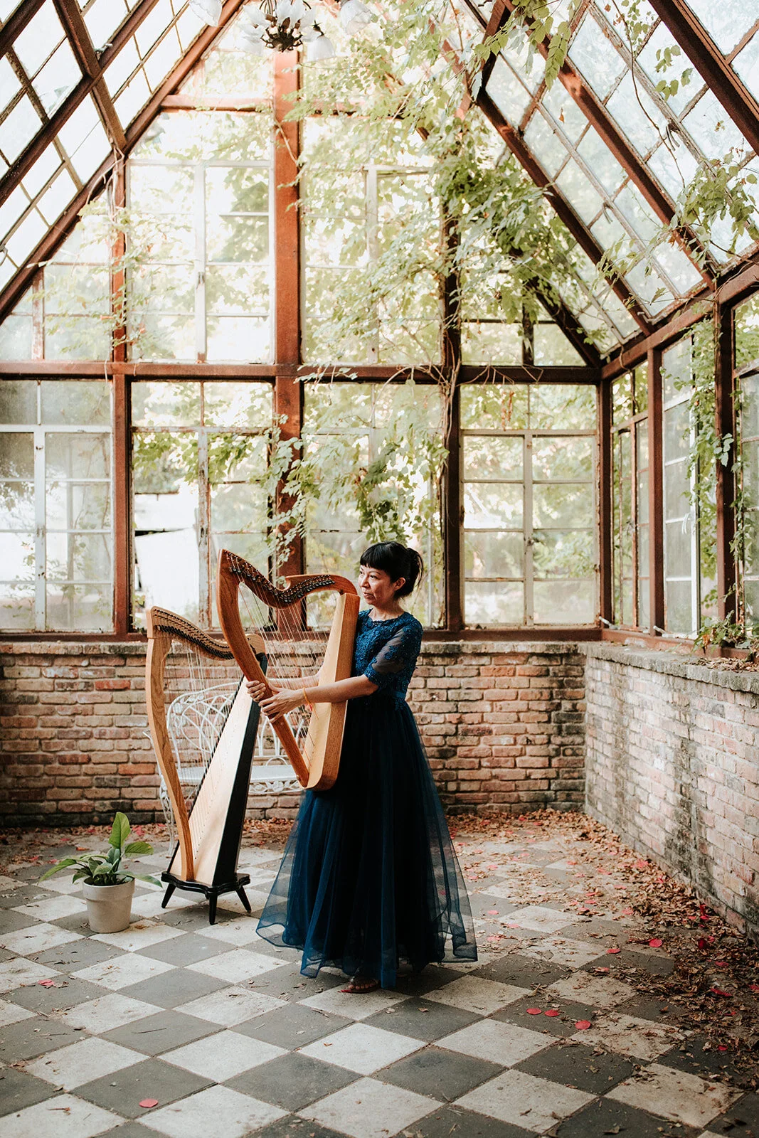 Donate to Mind Body Music