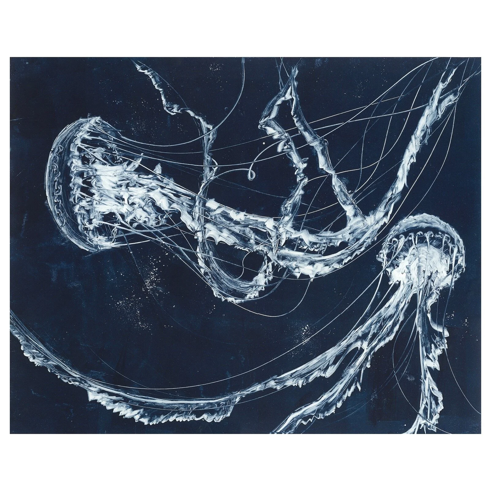Jellyfish I - Limited Edition Giclee Reproduction