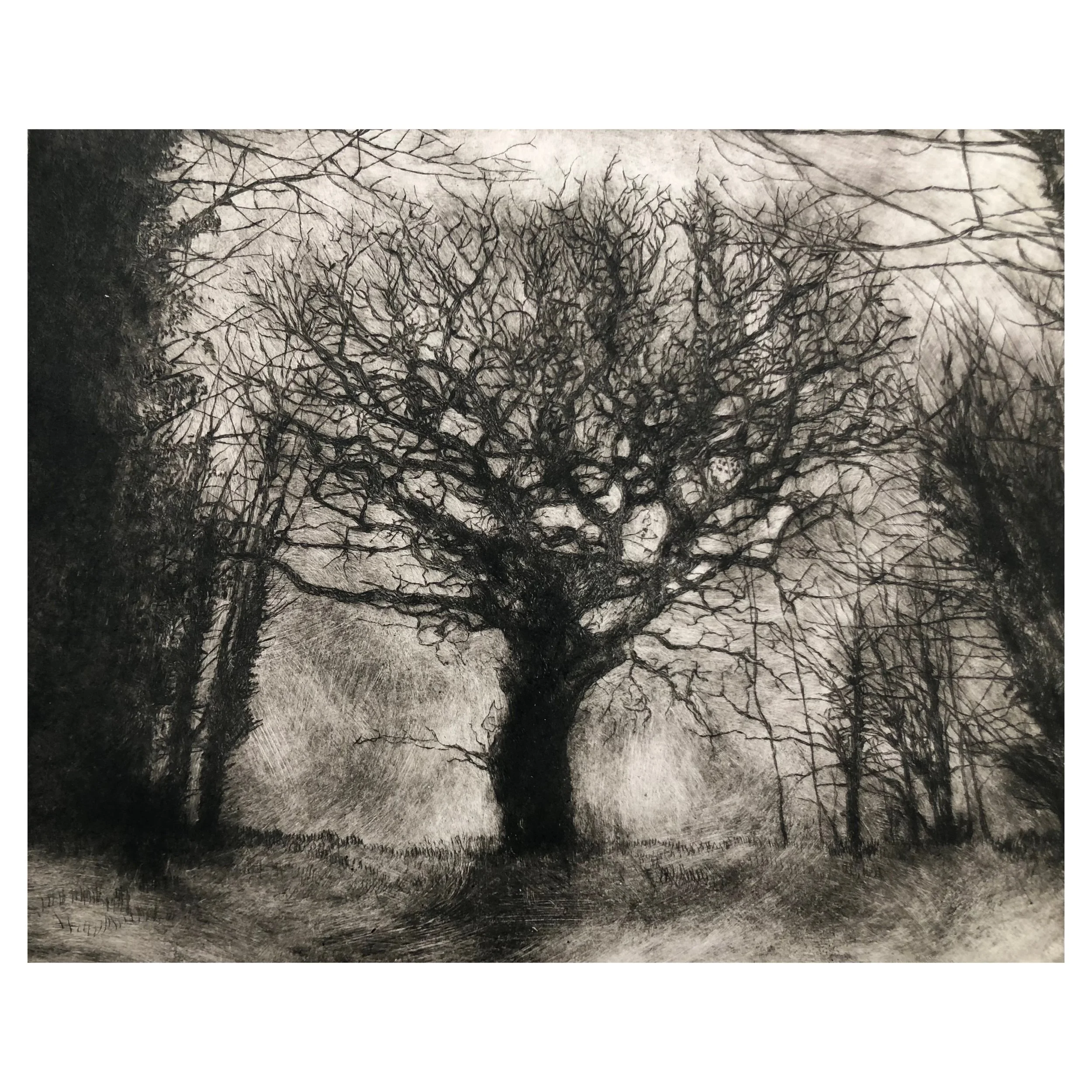 Home - Original Drypoint