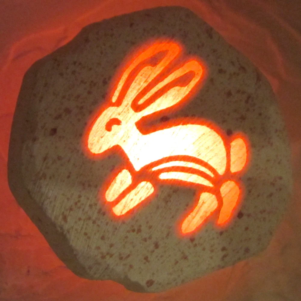 C_BunnyNightLight_Crop_1000p.jpg
