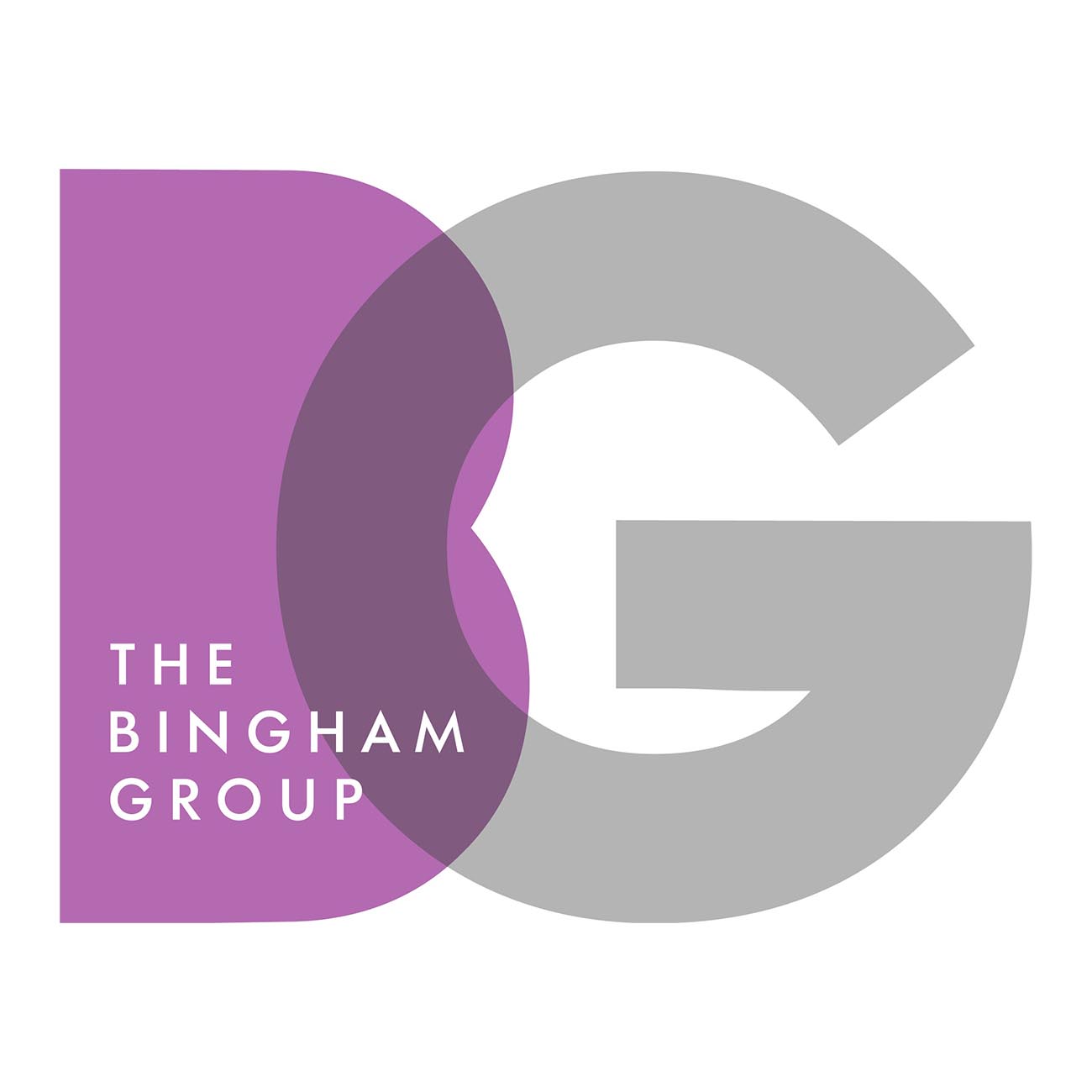 The Bingham Group