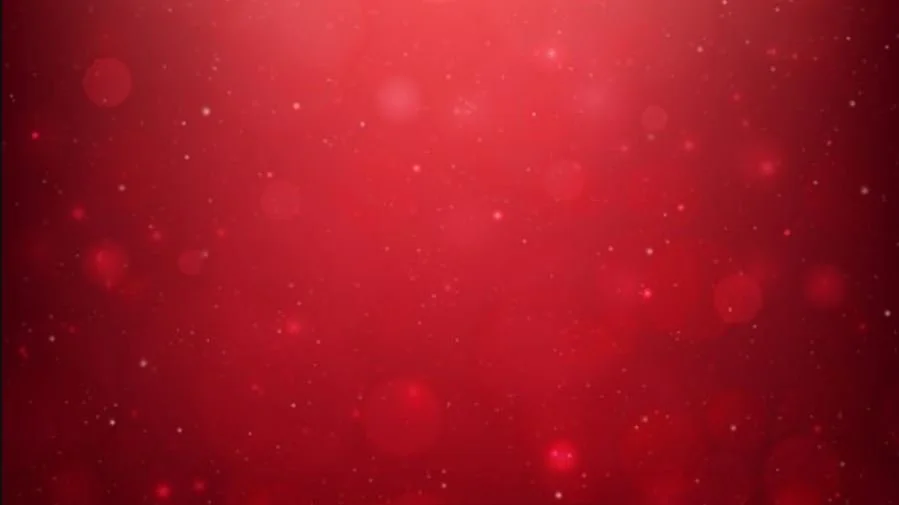 PAYSL Remembers Aaliyah Martinez